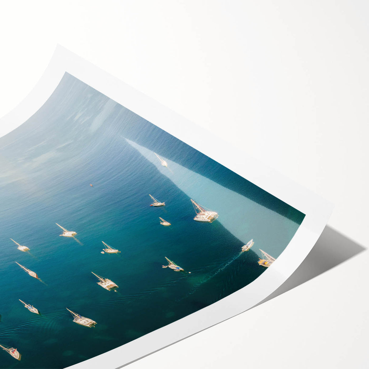 Extra large rolled print featuring line art flowers in soft pastel shades, ideal for large living room wall art.