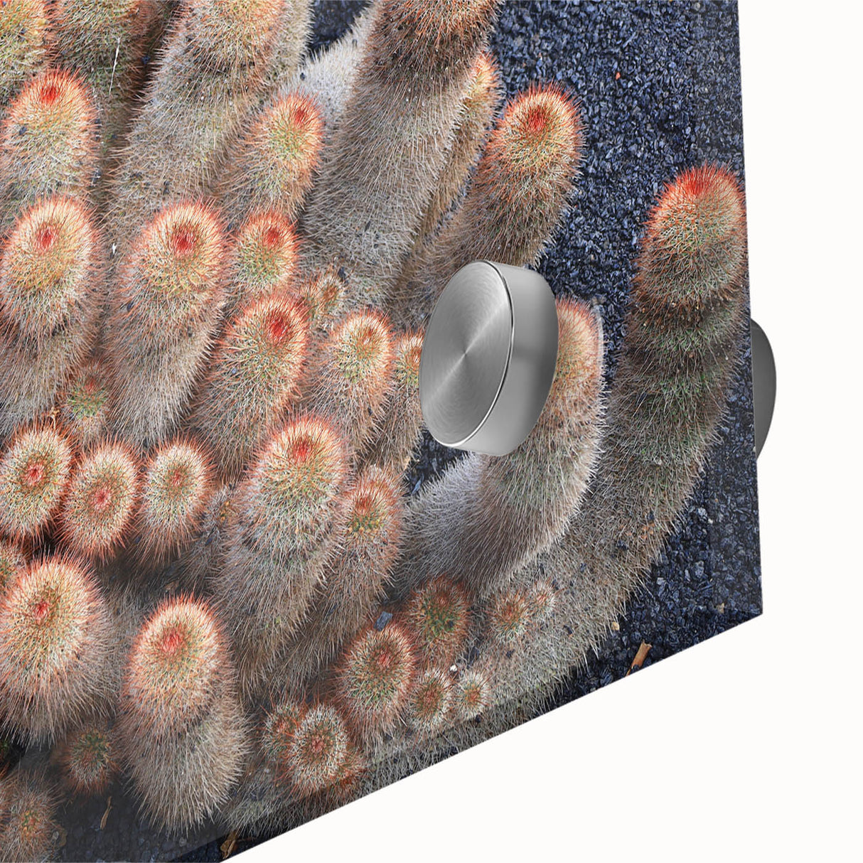 Large abstract wall art depicting a European scenery in muted earth tones on acrylic glass.