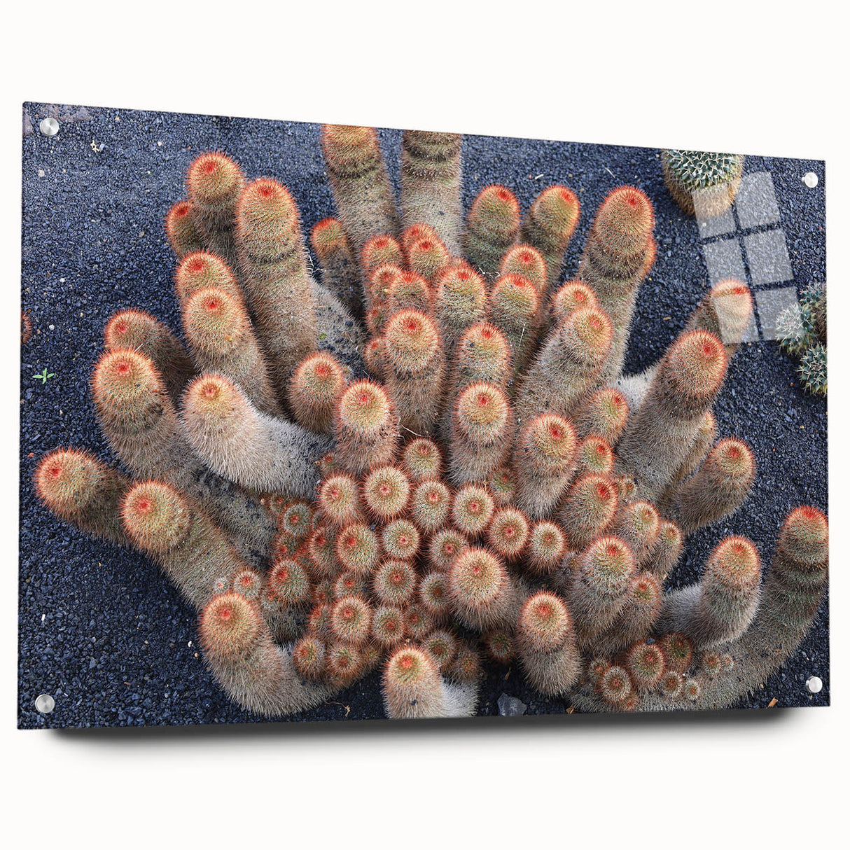 Large abstract wall art depicting a European scenery in muted earth tones on acrylic glass.