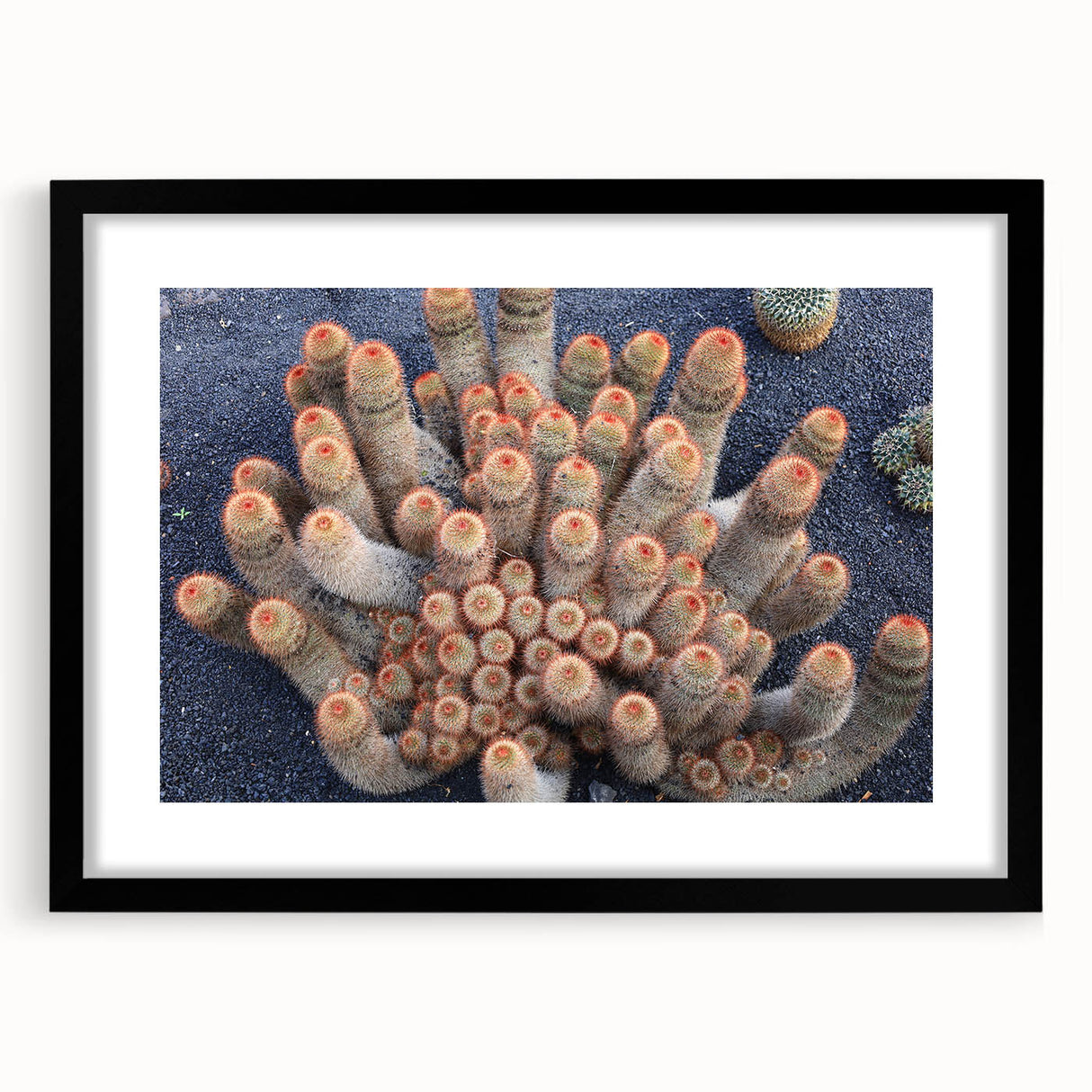 Extra large framed abstract print of colorful, textured scenery depicting Spain's Canary Islands.