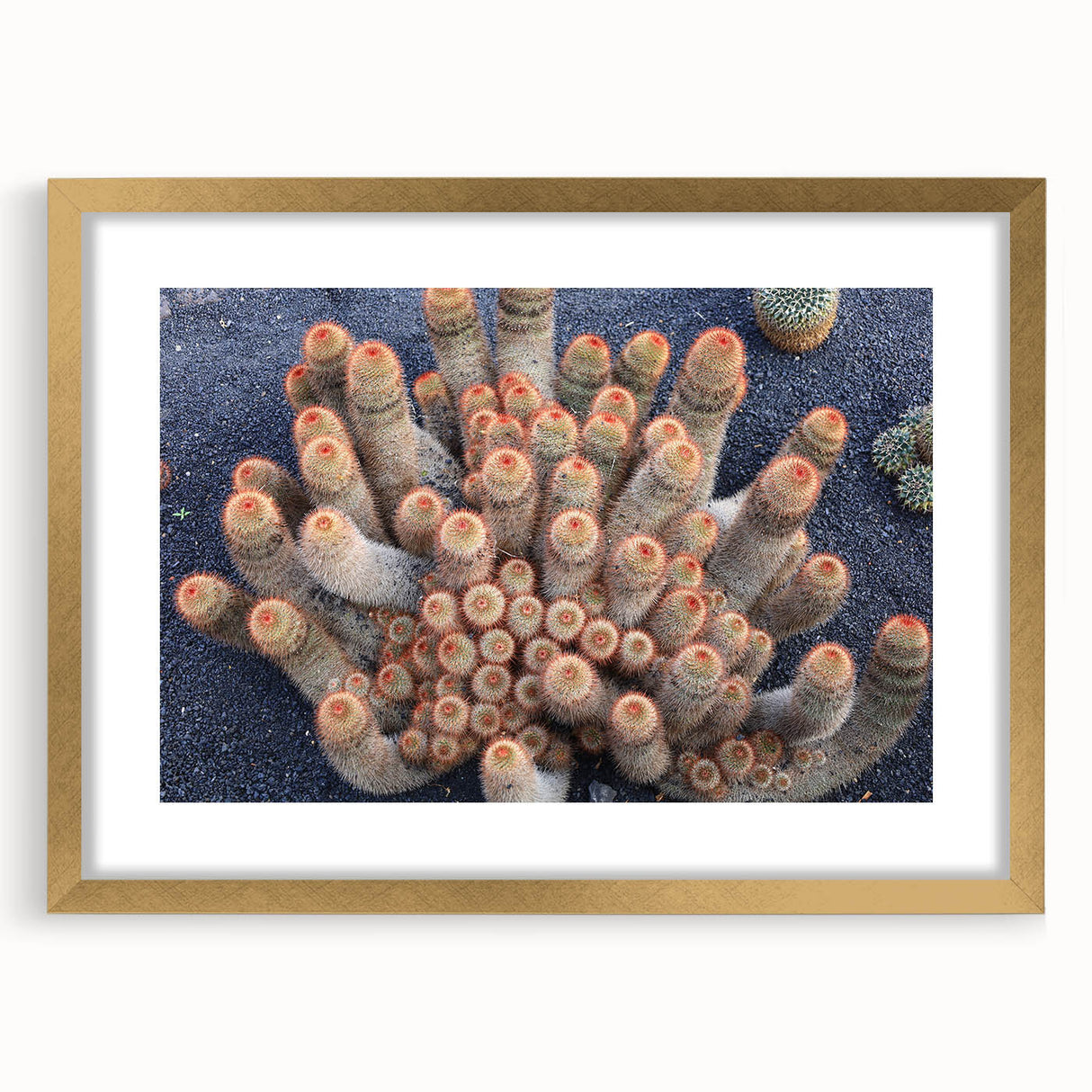 Abstract art print depicting a vibrant, colorful European scenery in a gold frame, ideal for dining room decor.