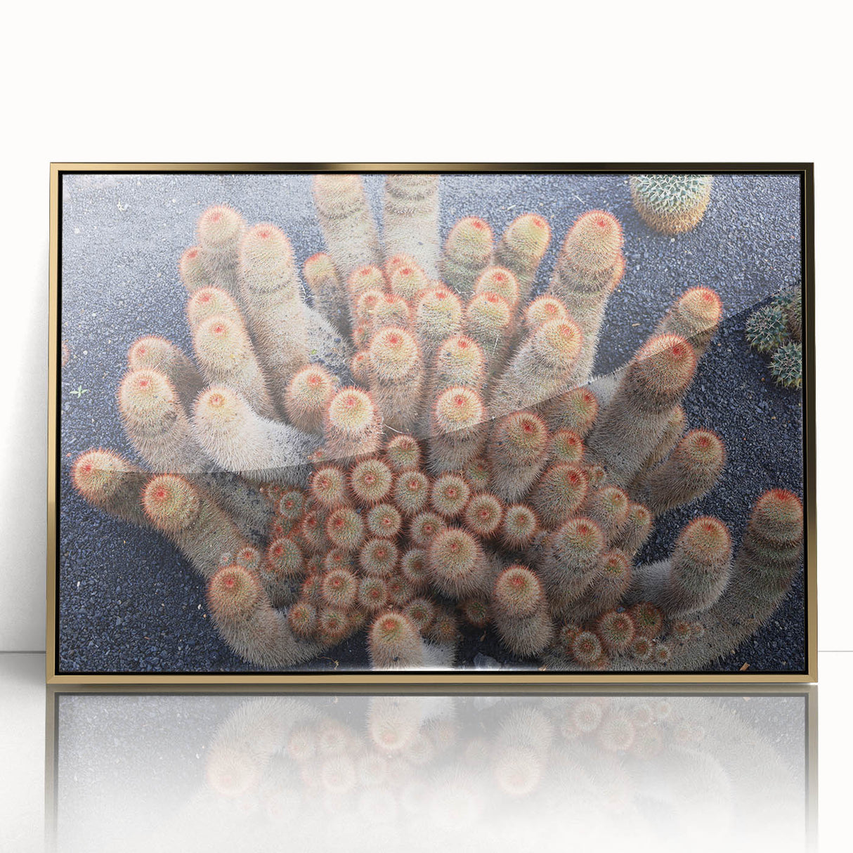 Art Deco style poster of a European street scene in muted gold and brown tones on framed acrylic.