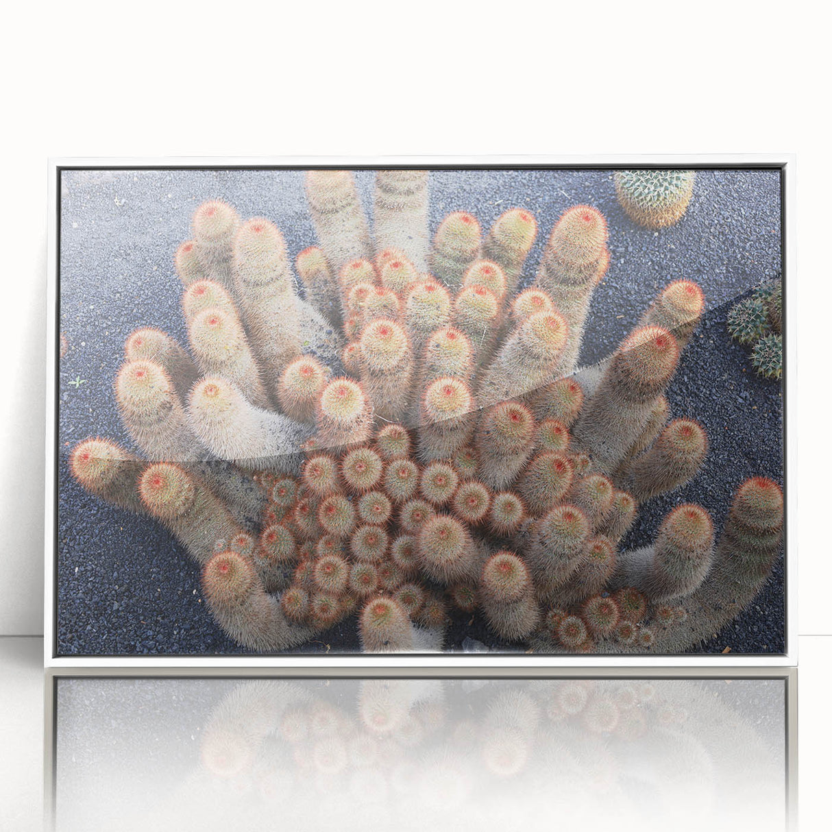 Mid-century modernist art depicting a European scenery in Canary Islands, Spain.