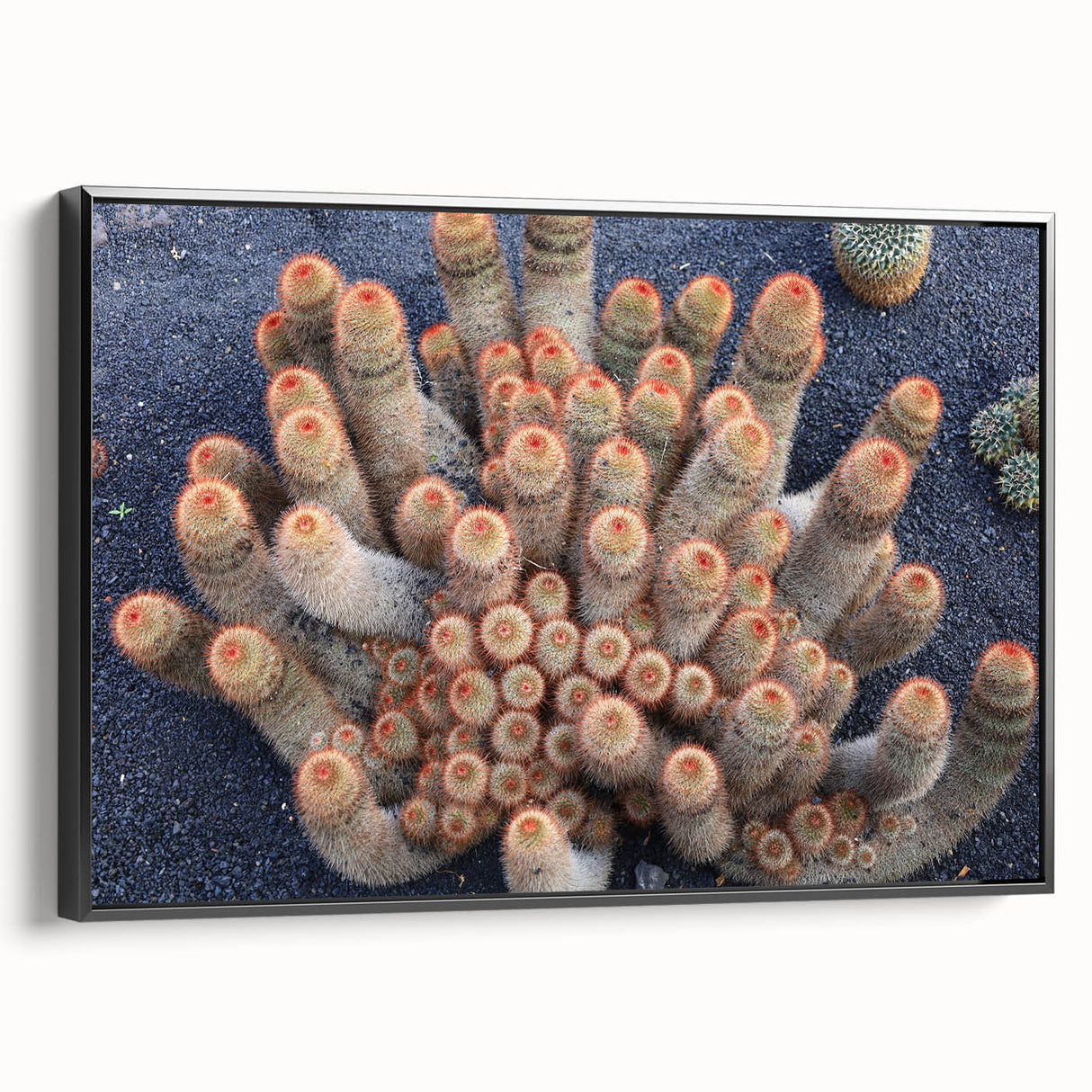 Black and white landscape art painting of the Canary Islands on framed canvas, ideal for bedroom decor.