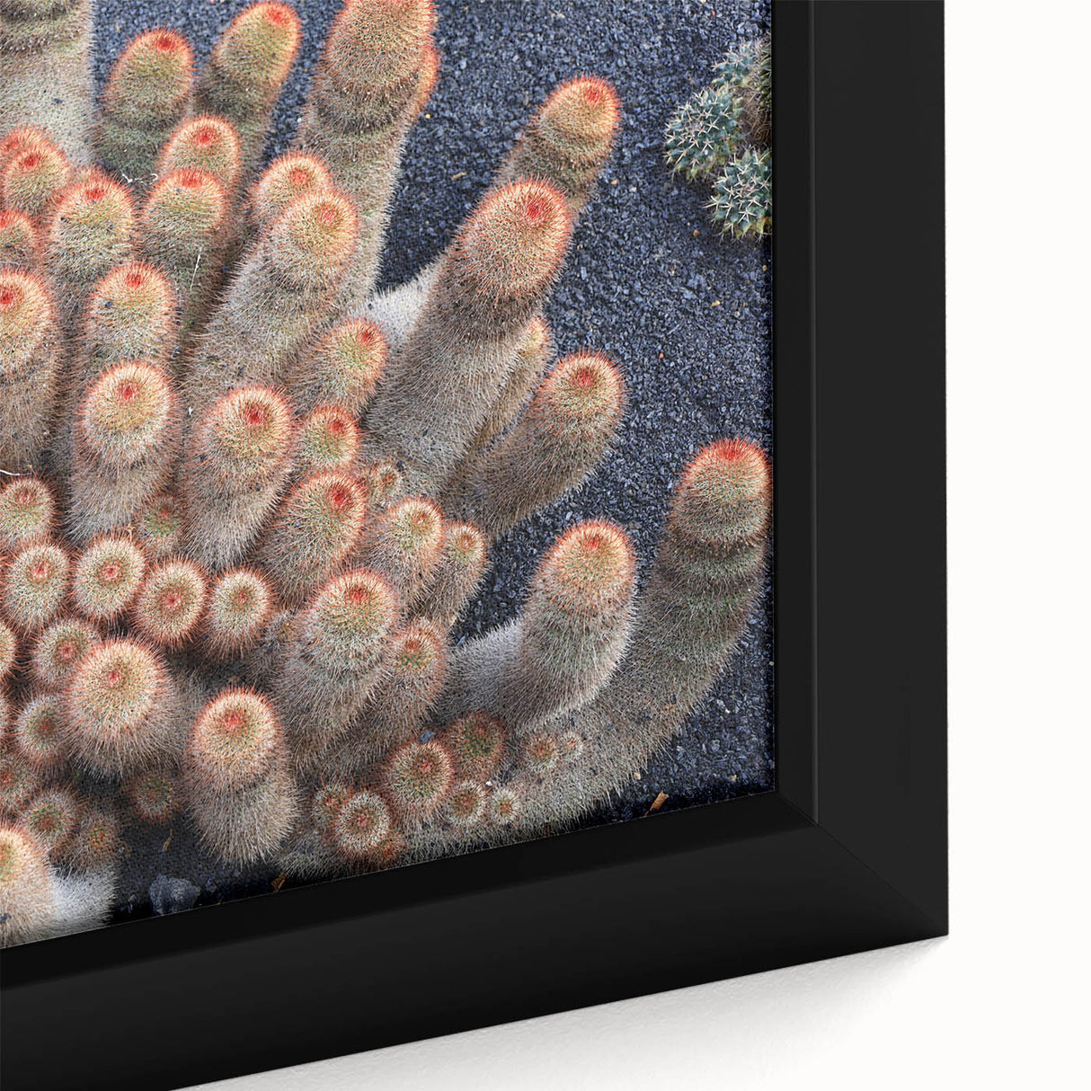 Extra large framed canvas of a textured black wall art depicting vibrant, colorful Spanish Canary scenery.