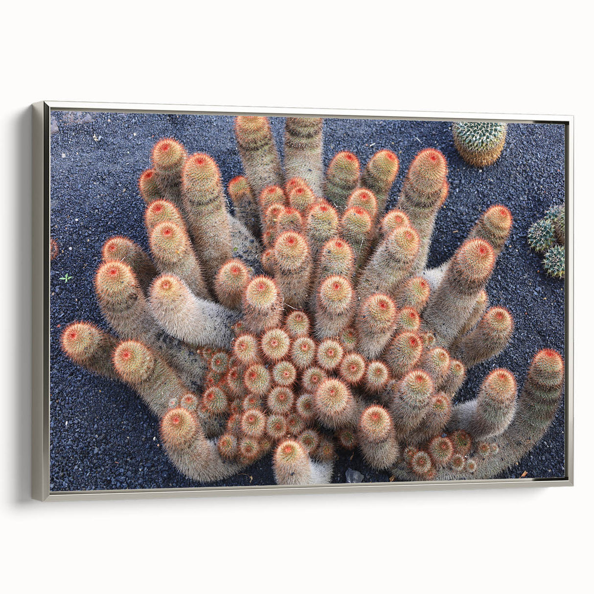 Landscape art painting of a scenic European view on a silver-framed canvas, featuring a blend of vibrant and muted colors.