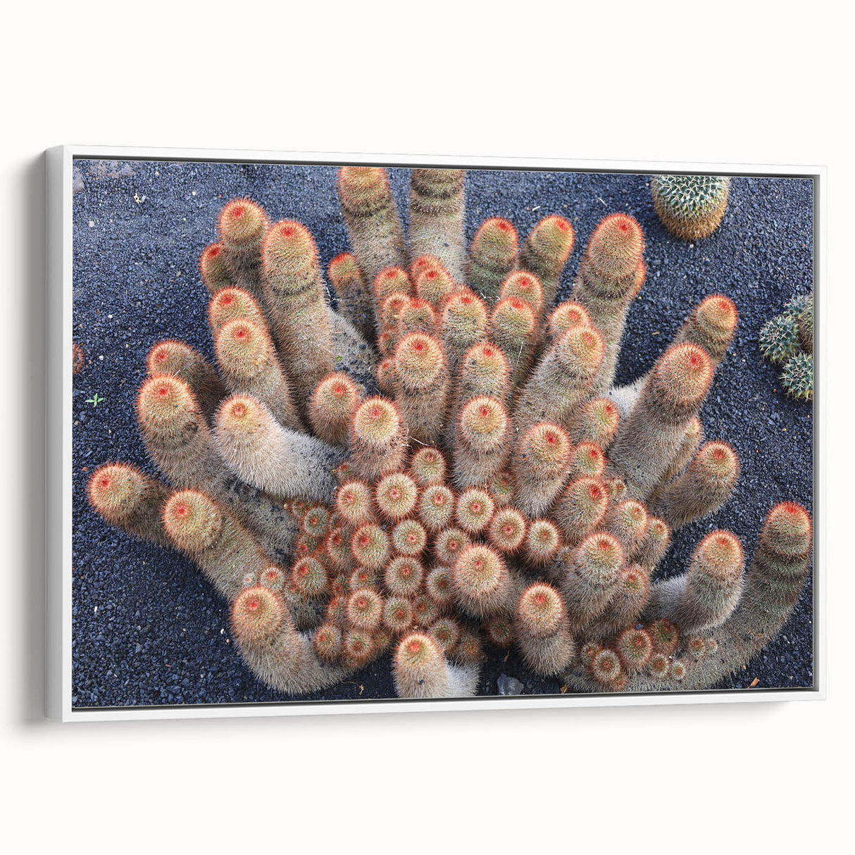 Vintage poster art of a scenic European landscape in vibrant colors on a large framed canvas, ideal for living room decor.