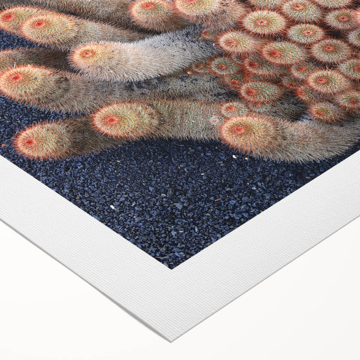 Art deco poster featuring a vibrant, stylized illustration of the Canary Islands on a rolled canvas.