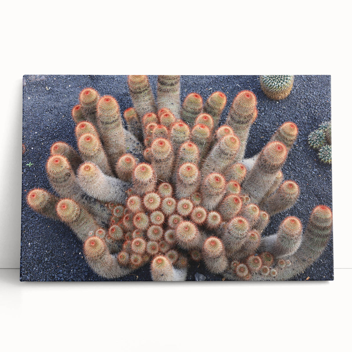 Black and white large art canvas of a European street scene, suitable for kitchen wall art.