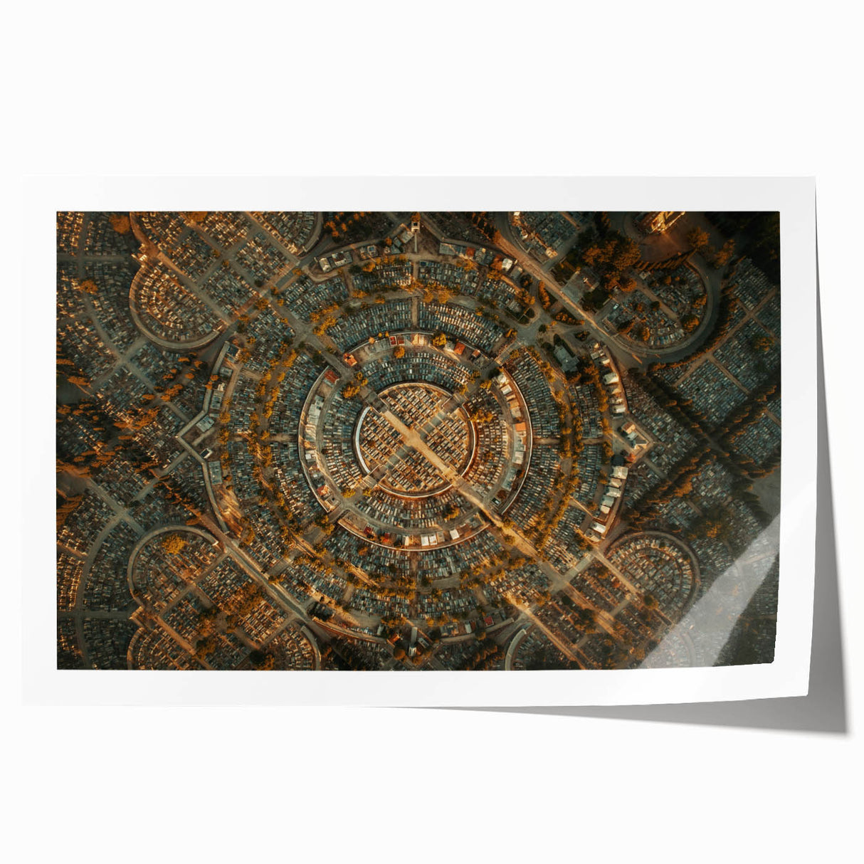 Rolled print of Madrid scenery with vibrant floral elements in pastel shades, ideal for art wall dining room.