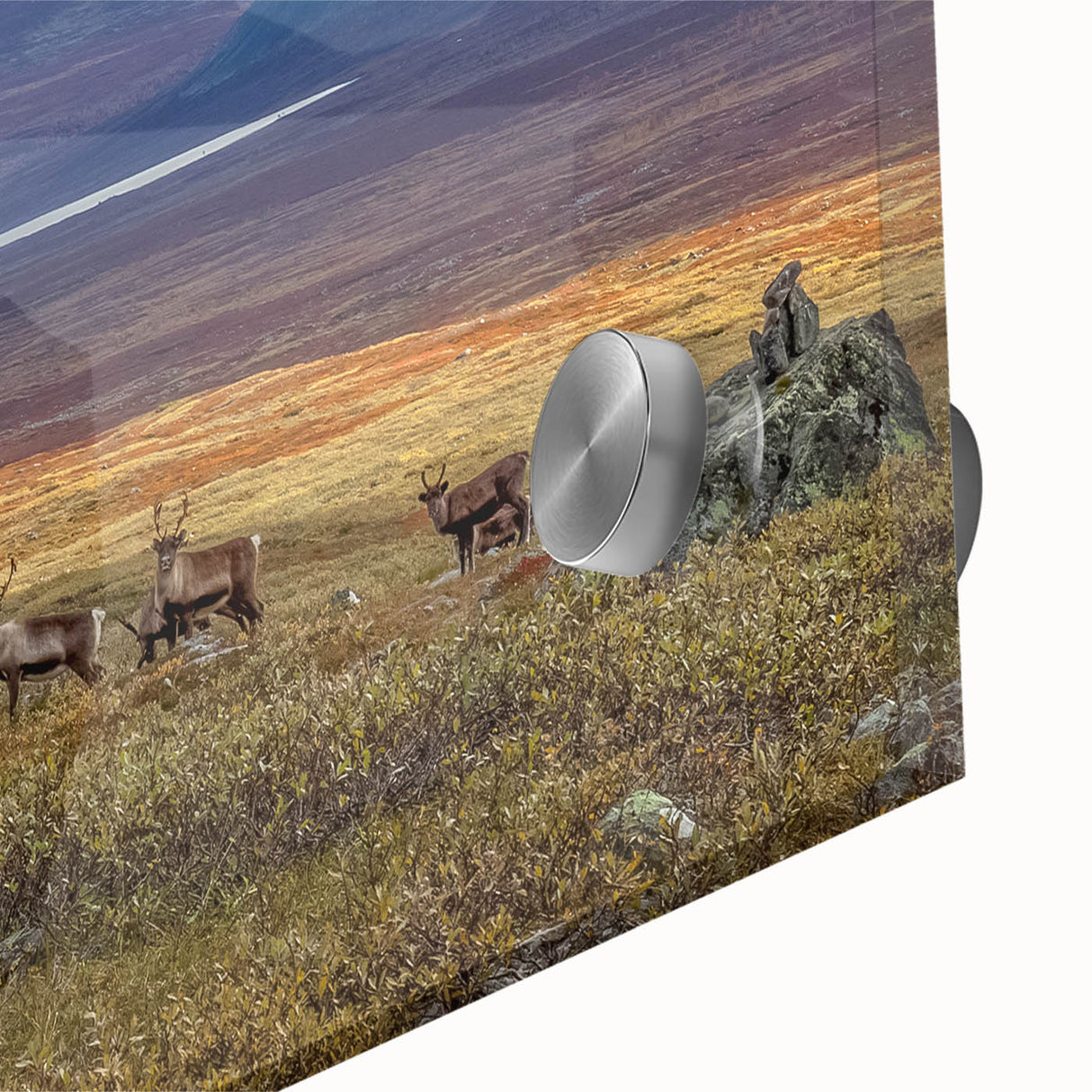 Large abstract wall art featuring a serene Swedish landscape in muted blue and green tones on acrylic glass.