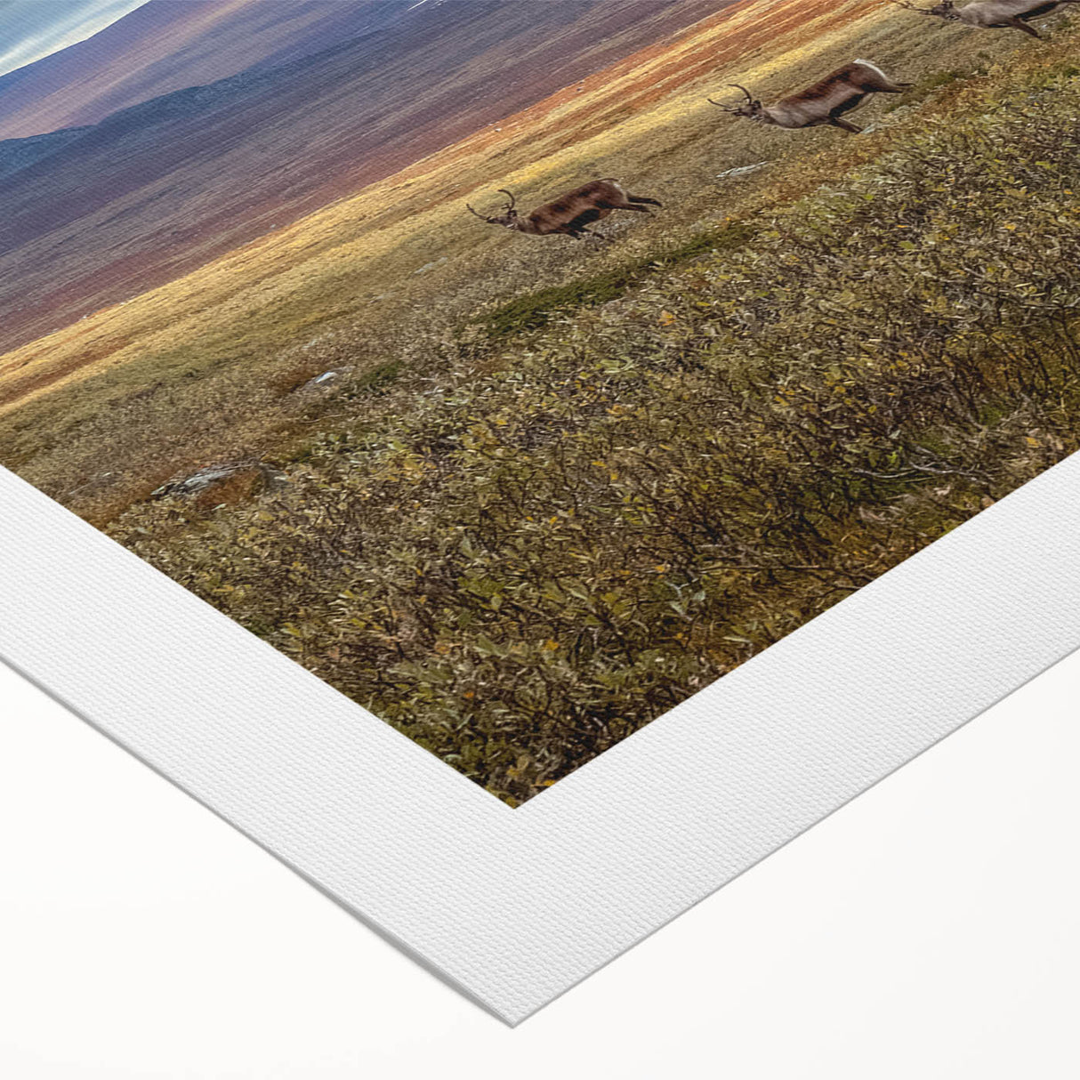 Art deco poster depicting a serene Swedish landscape in muted greens and blues on rolled canvas.