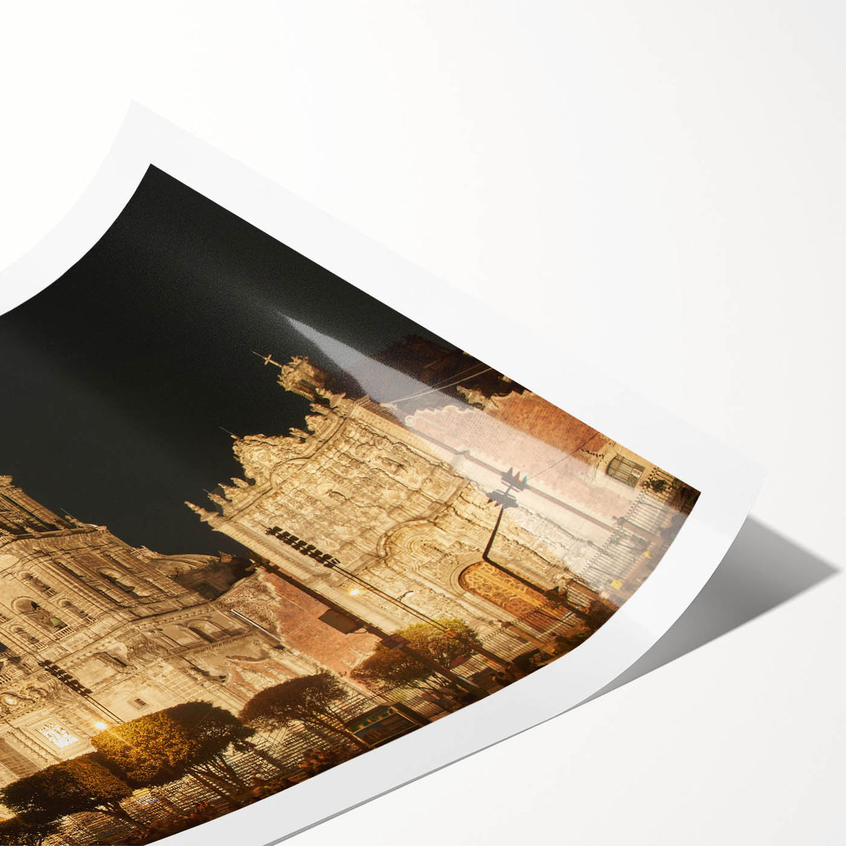 Extra large wall art featuring line art flowers in black on white, rolled print, suited for large living room decor.