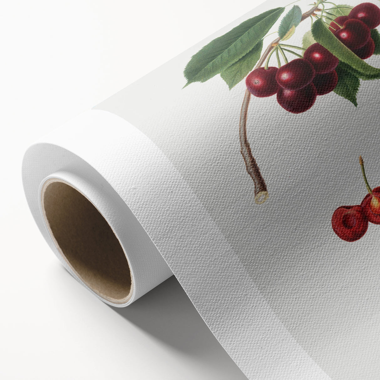 Romanticism Art - Cherry Botanical Illustration - Classic Fruit Print