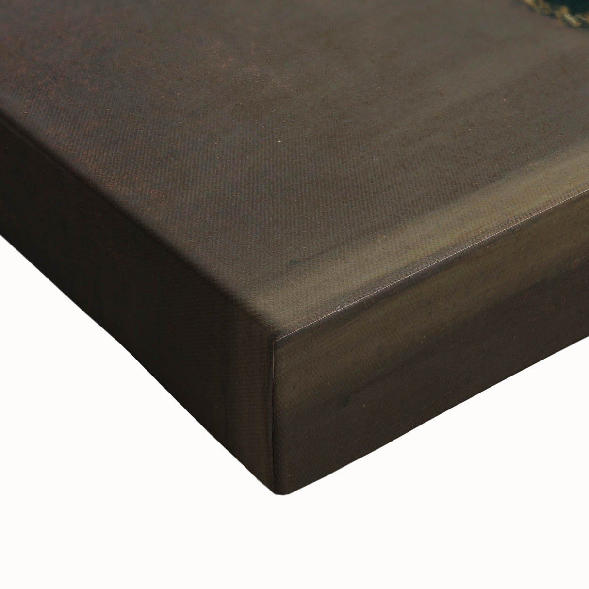 Victor Guye by Goya - Romanticism Art Print on Canvas & Glass