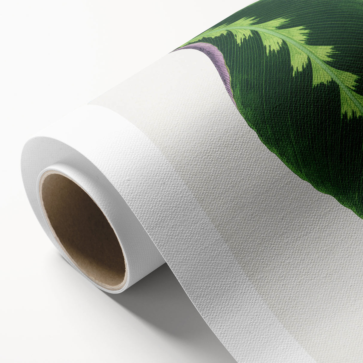 Green Maranta Warscewiczii Leaf - Romantic Era Botanical Print