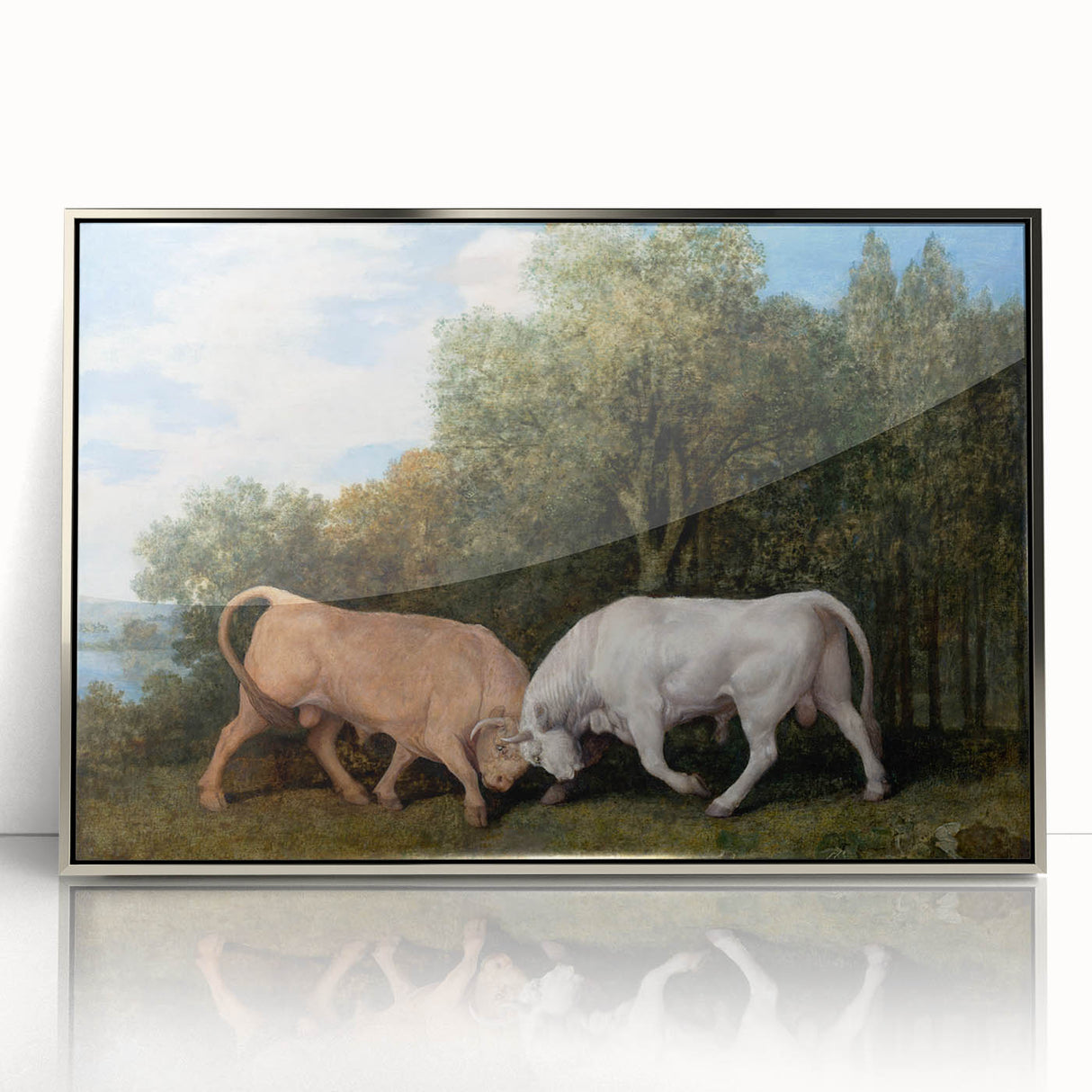 Bulls Fighting by George Stubbs - Romanticism Art Print on Canvas