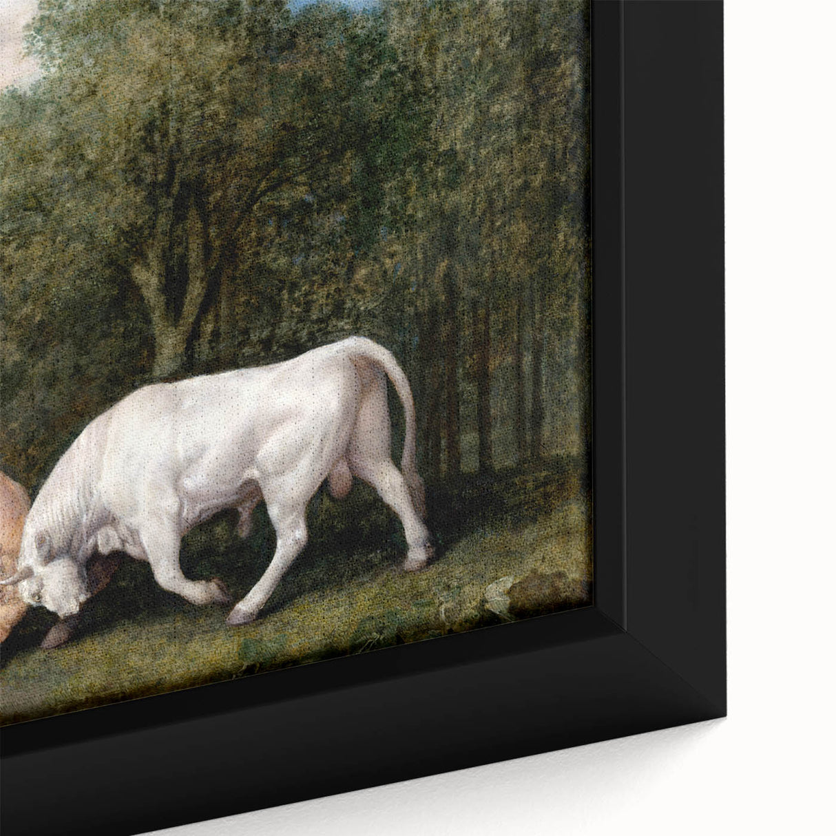 Bulls Fighting by George Stubbs - Romanticism Art Print on Canvas