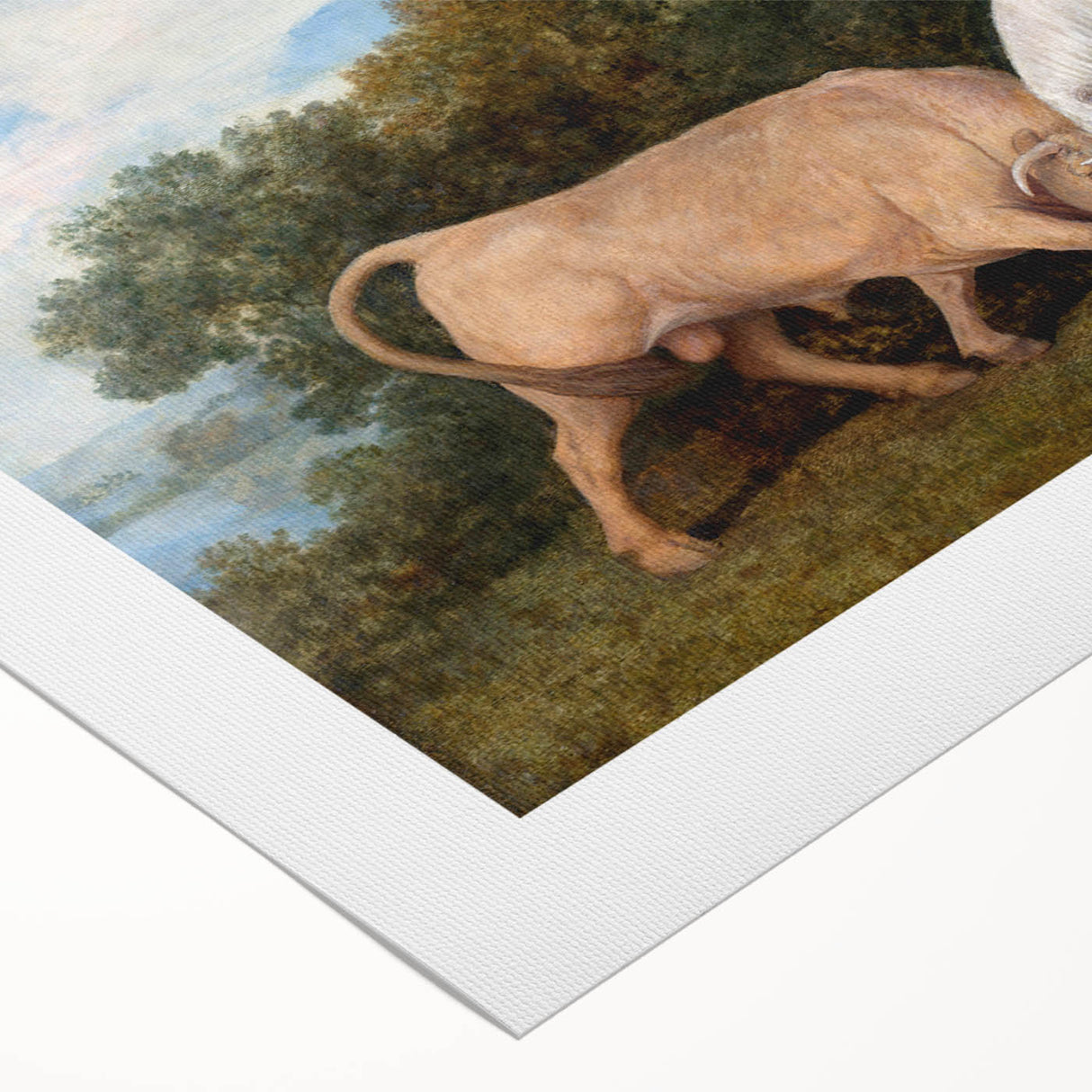 Bulls Fighting by George Stubbs - Romanticism Art Print on Canvas