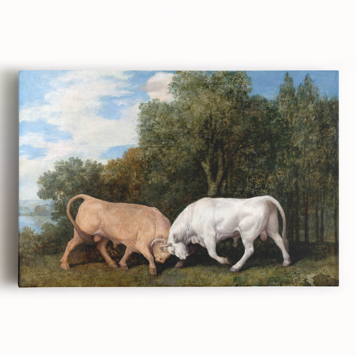 Bulls Fighting by George Stubbs - Romanticism Art Print on Canvas