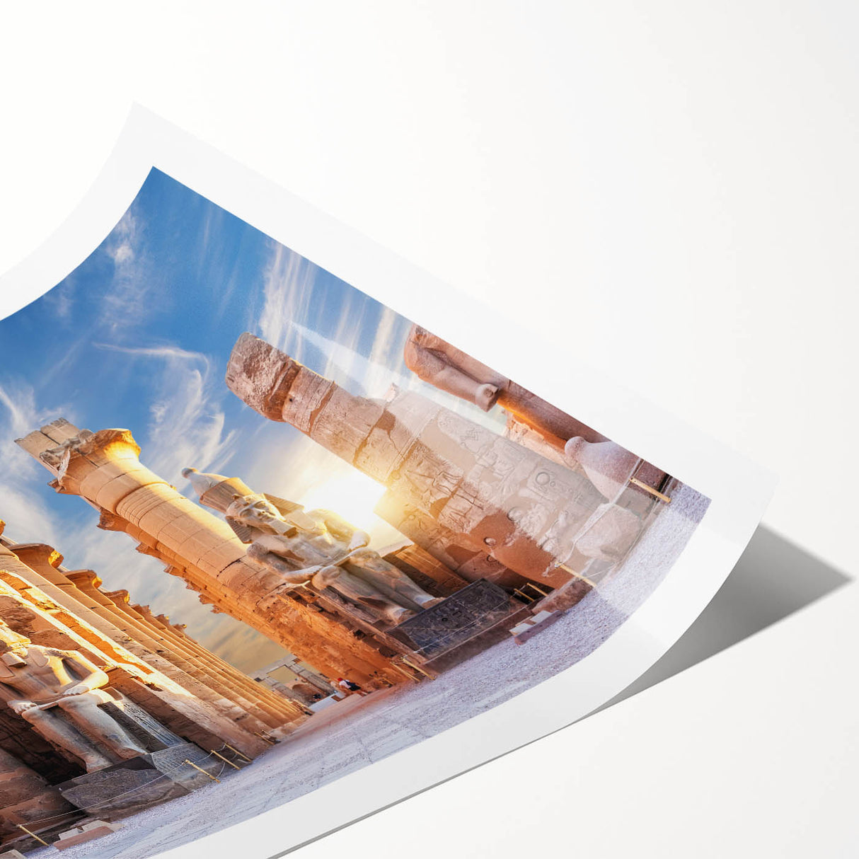 Extra large rolled print of line art flowers in a minimalistic style, featuring a black and white color scheme.