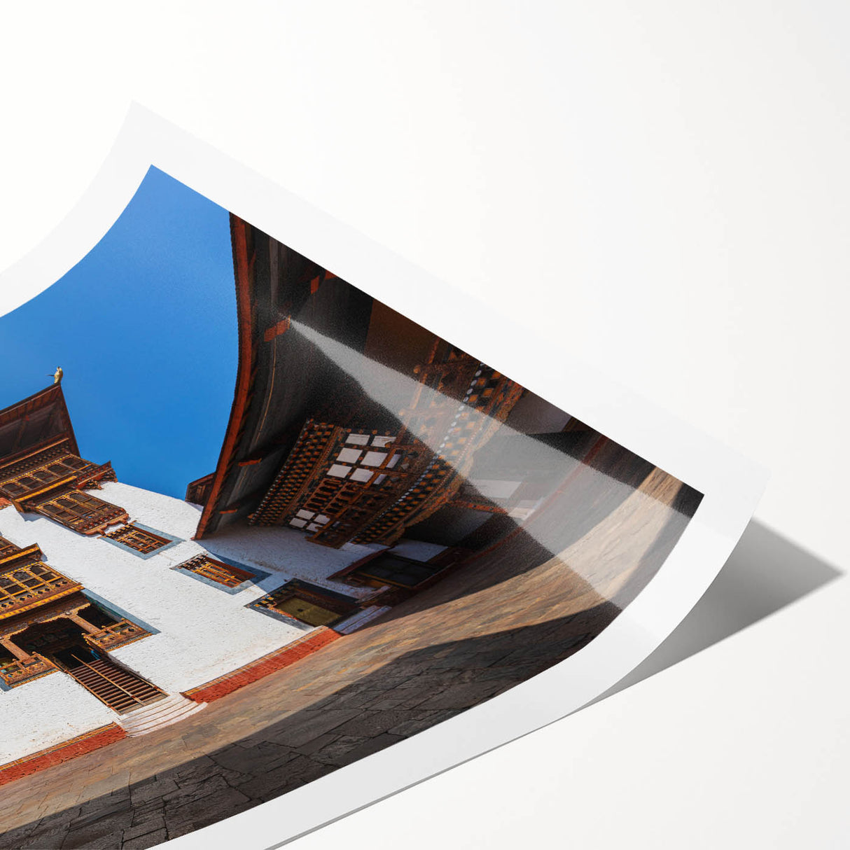 Extra large wall art featuring line art flowers in soft pastel shades on a rolled canvas, ideal for large living room decor.