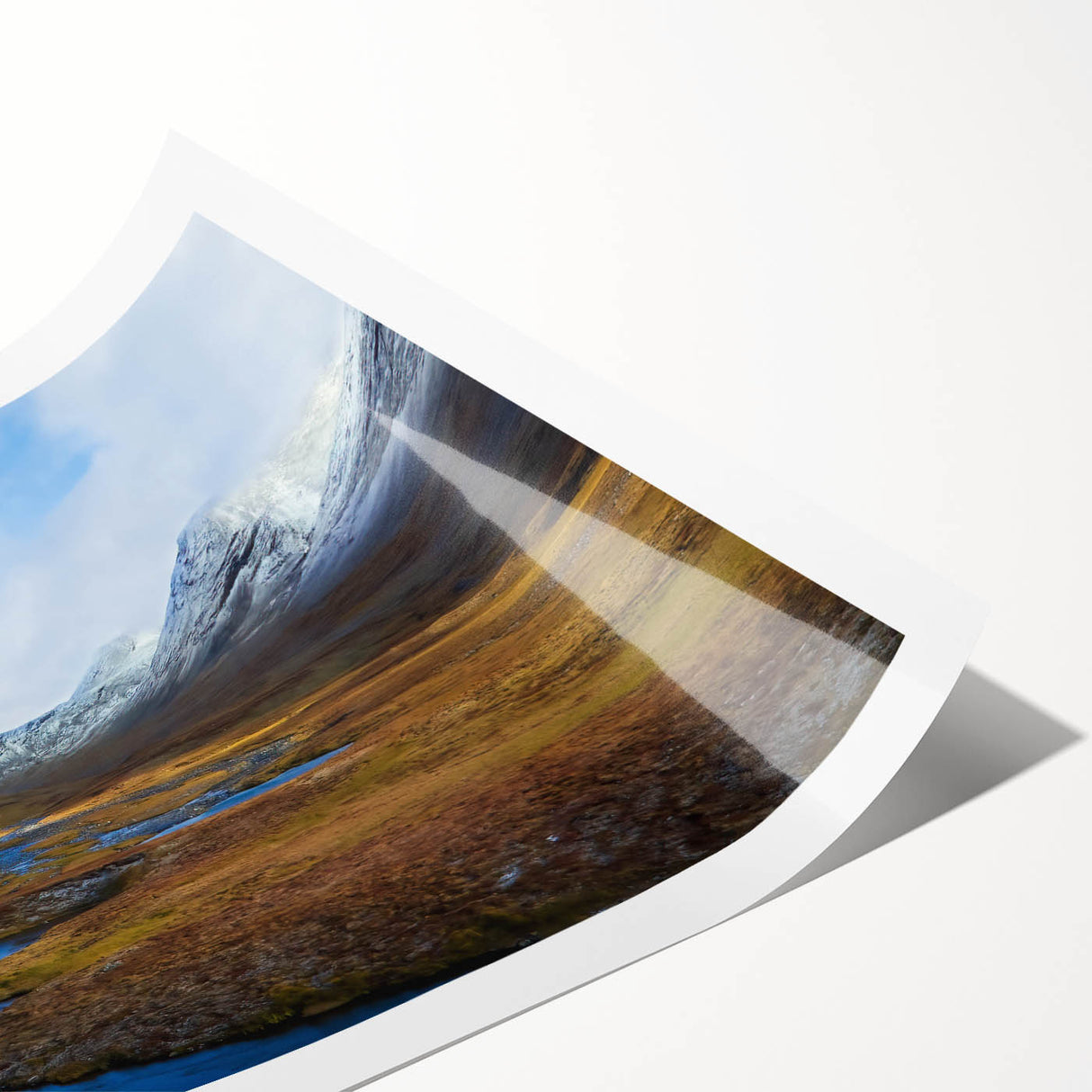 Extra large wall art featuring line art flowers in soft pastel shades, printed on rolled canvas.