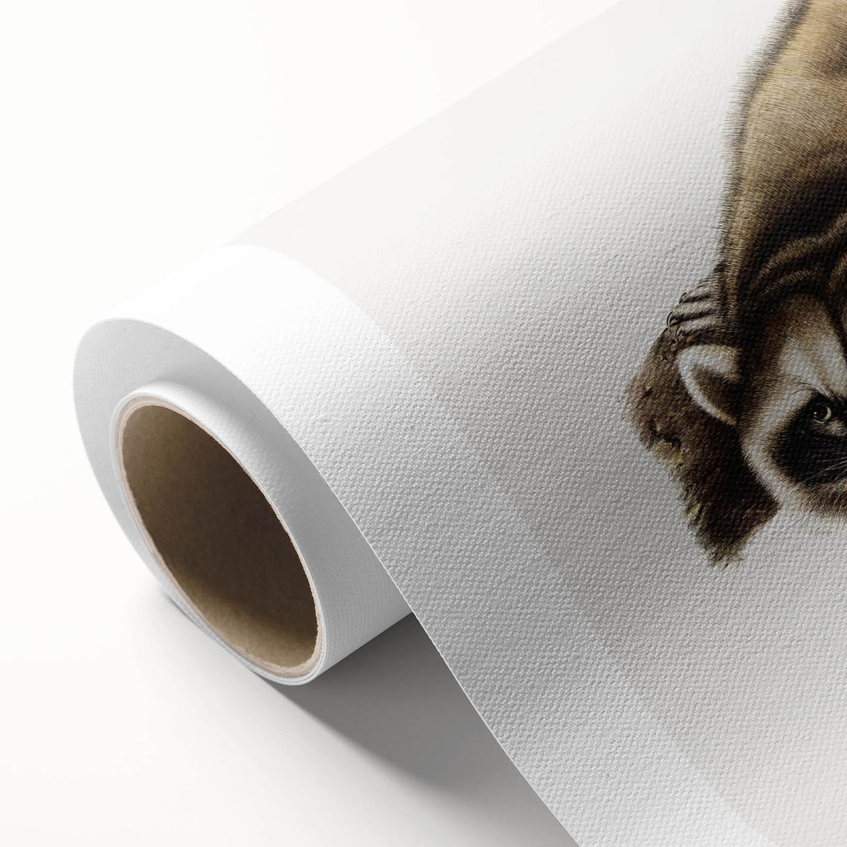 Raccoon by Audubon - Romanticism Wildlife Art Print on Canvas