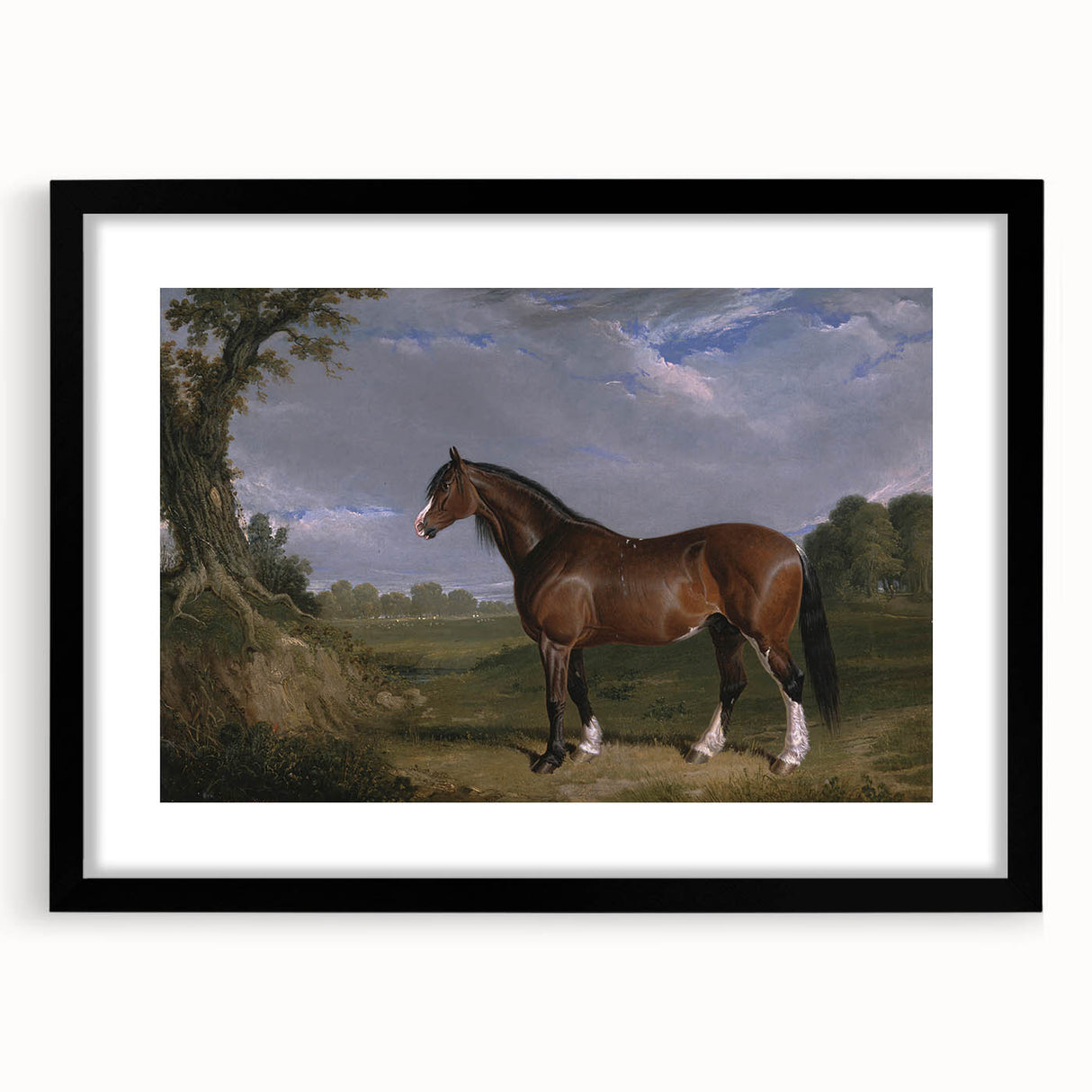 A Clydesdale Stallion by John Frederick Herring - Romantic Art Print