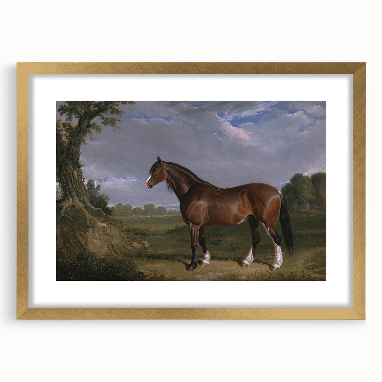 A Clydesdale Stallion by John Frederick Herring - Romantic Art Print