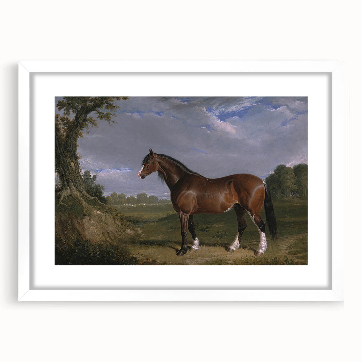 A Clydesdale Stallion by John Frederick Herring - Romantic Art Print