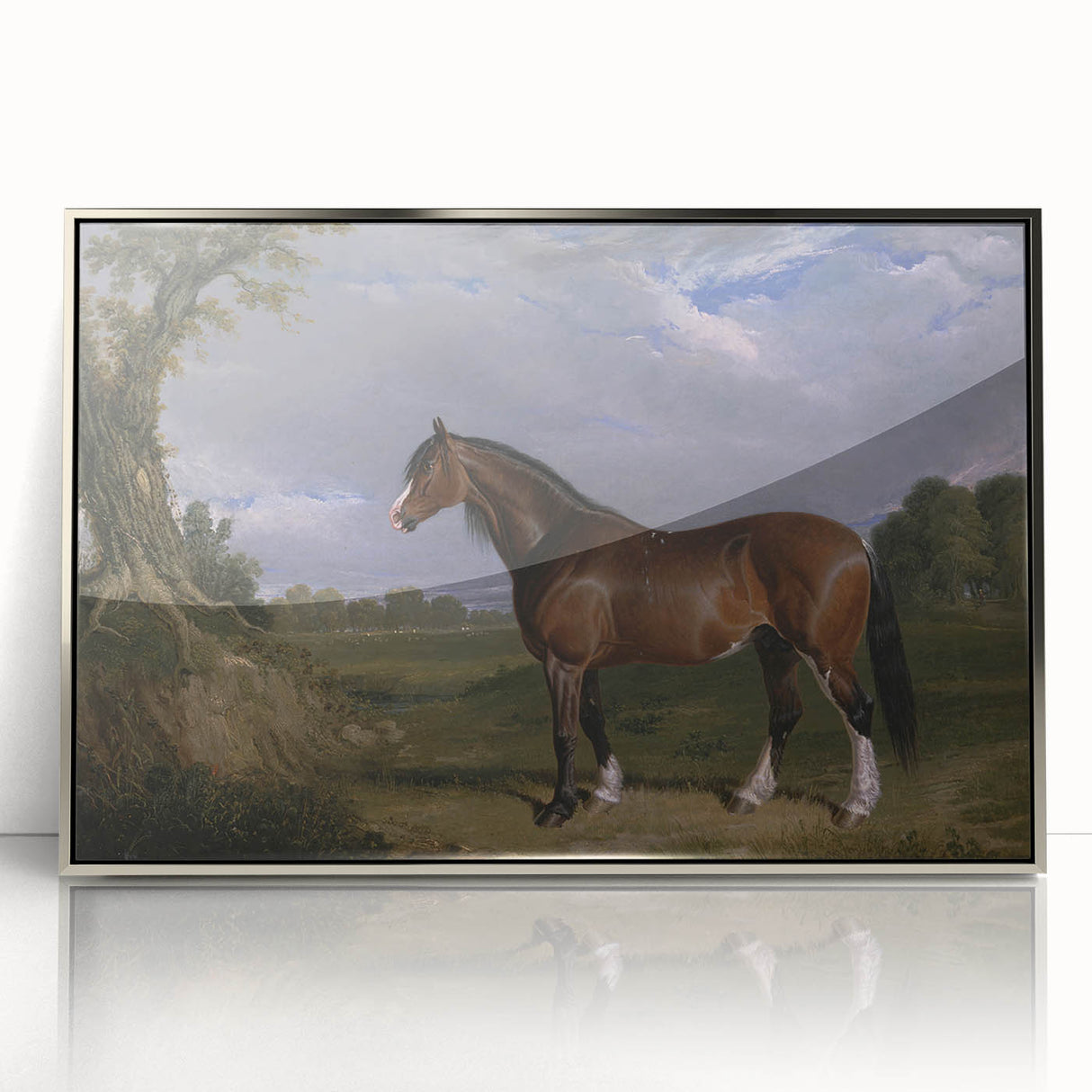 A Clydesdale Stallion by John Frederick Herring - Romantic Art Print
