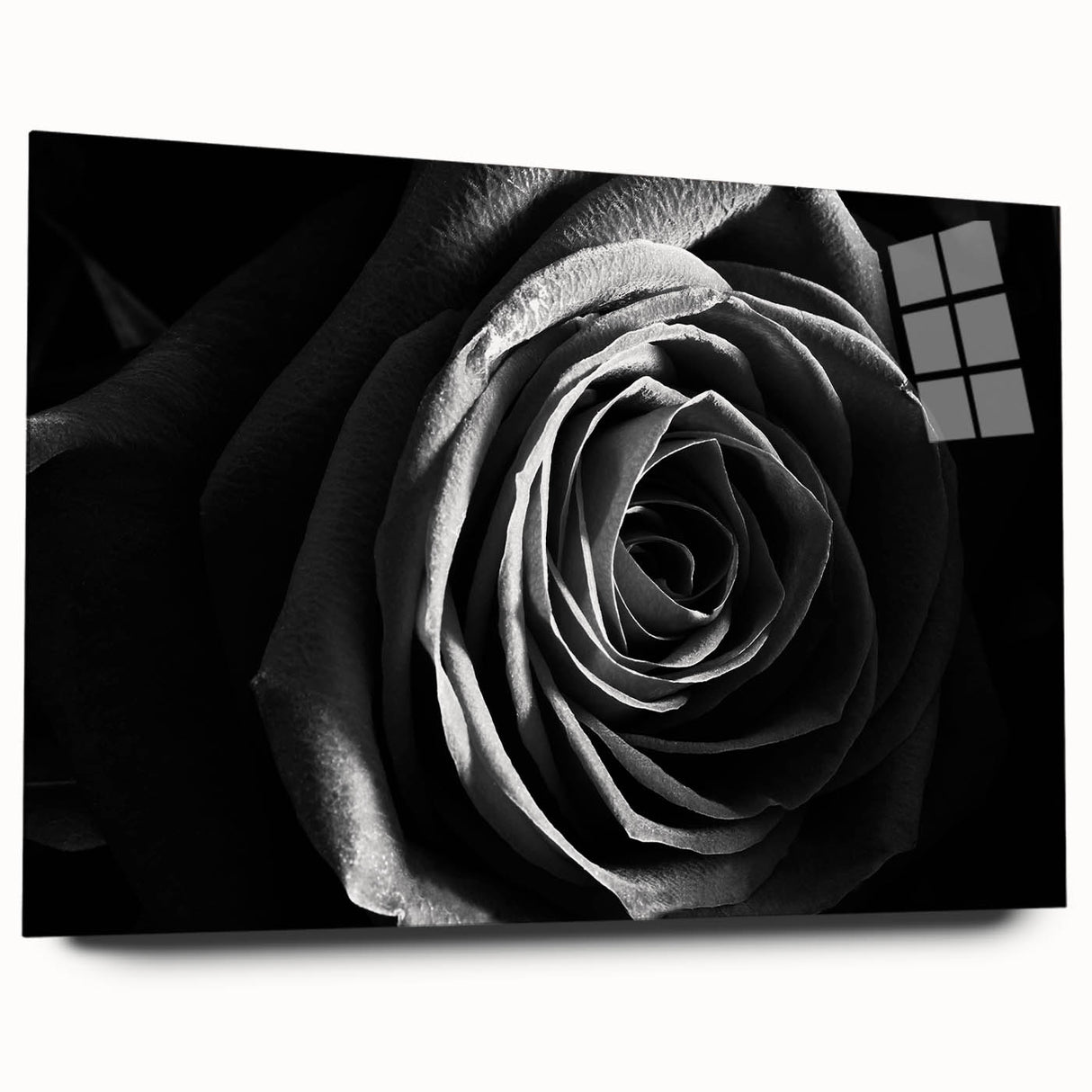 Abstract floral wall art displayed in acrylic glass, showcasing vibrant colors and intricate details, ideal for modern home decor. Side view highlights its sleek design.