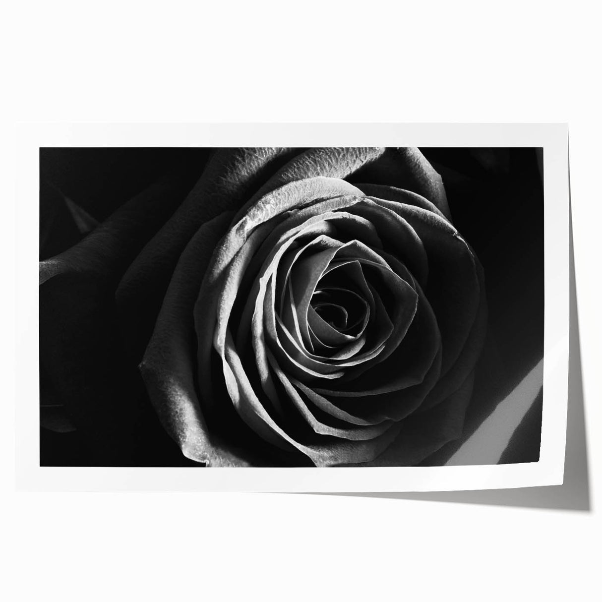 Abstract floral wall art print showcasing vibrant colors and intricate patterns, rolled neatly for easy display and shipping, perfect for modern home decor.