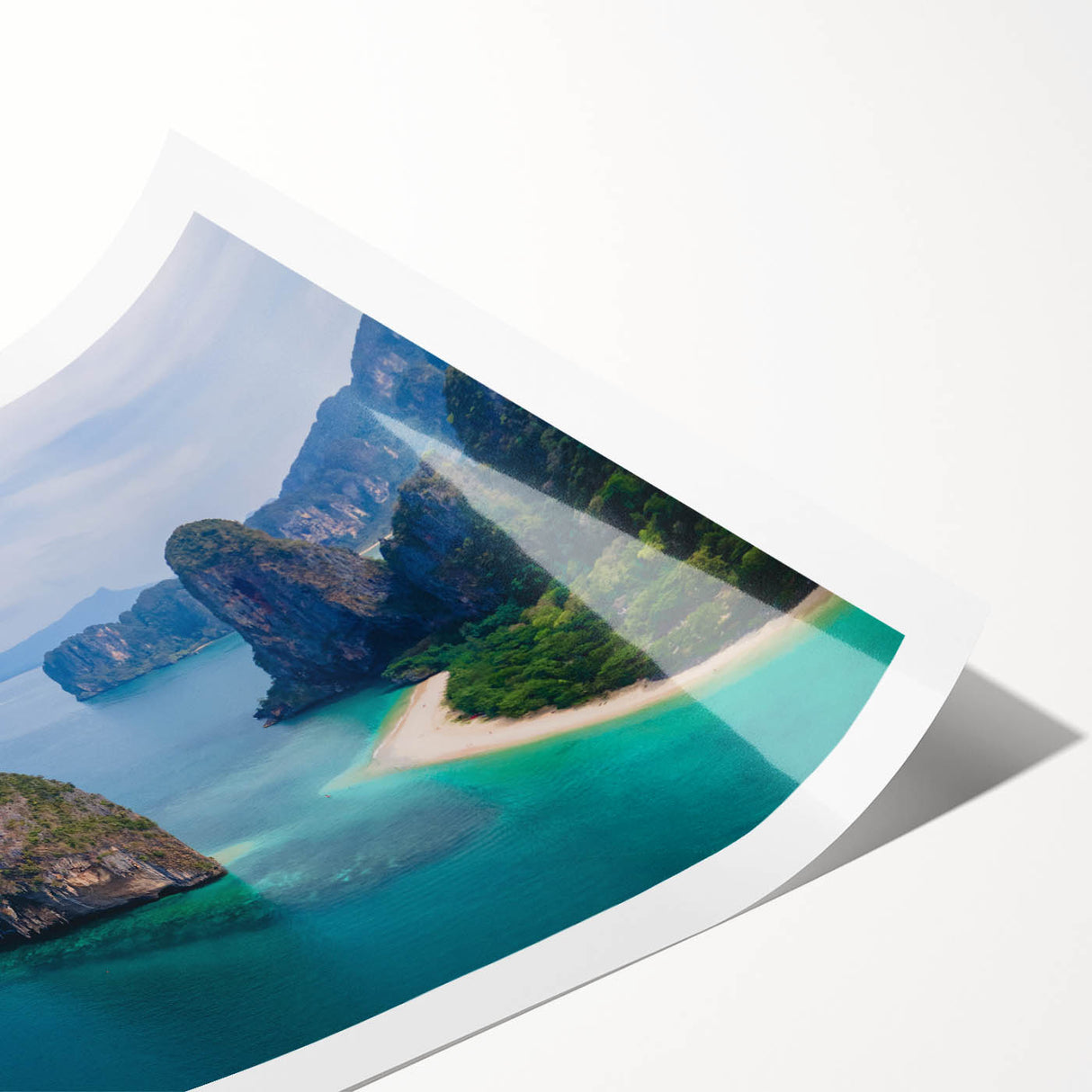 Extra large rolled print depicting line art flowers in monochrome, ideal for large living room wall art.