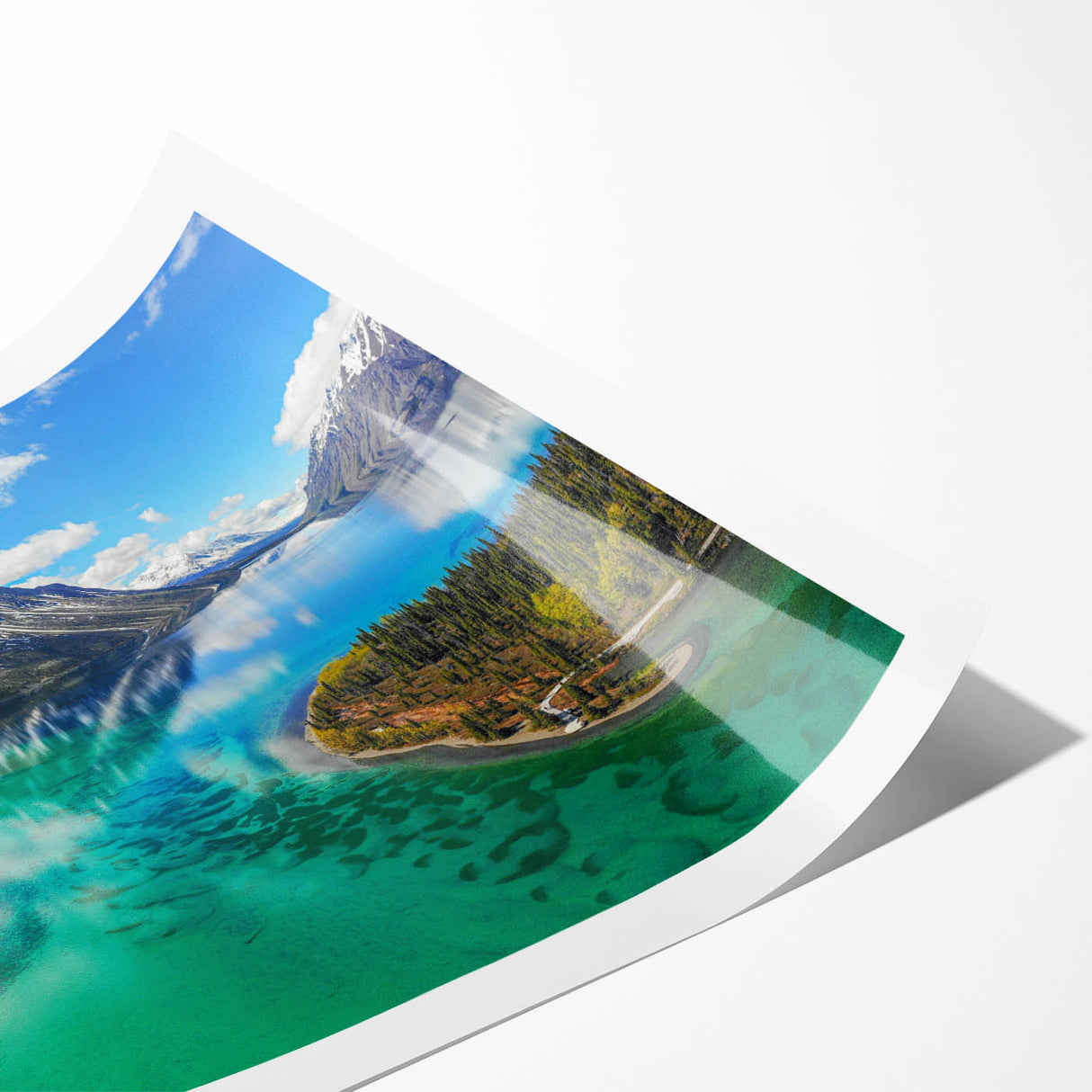 Extra large wall art featuring line art flowers in a Yukon scenery on a rolled print, ideal for large living room decor.