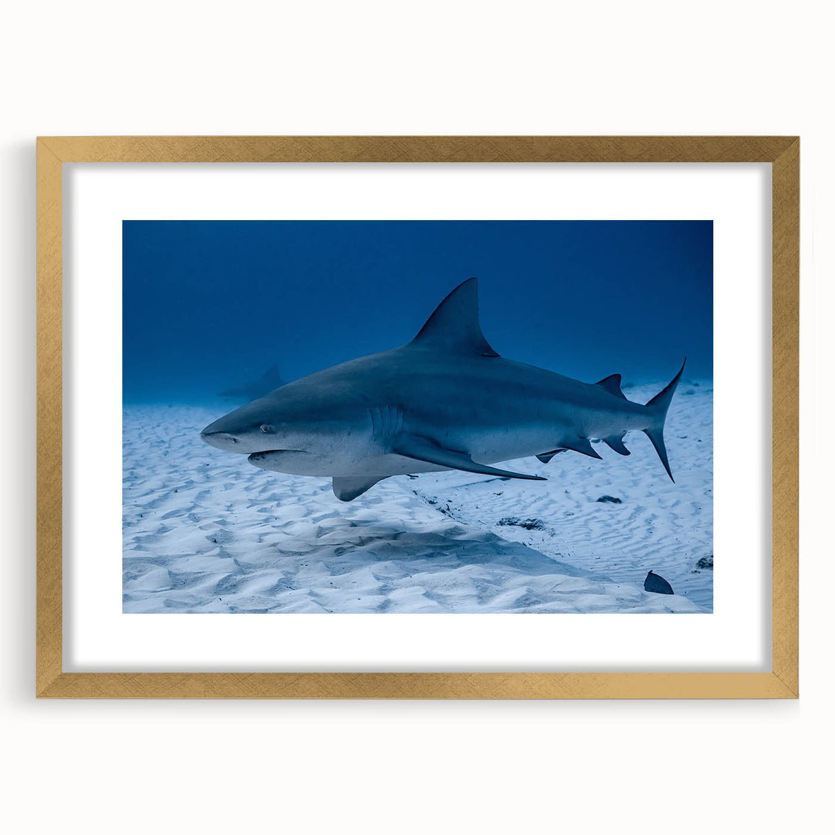 Extra large abstract art print of Quintana Roo scenery in muted earth tones on a textured canvas, framed in gold.