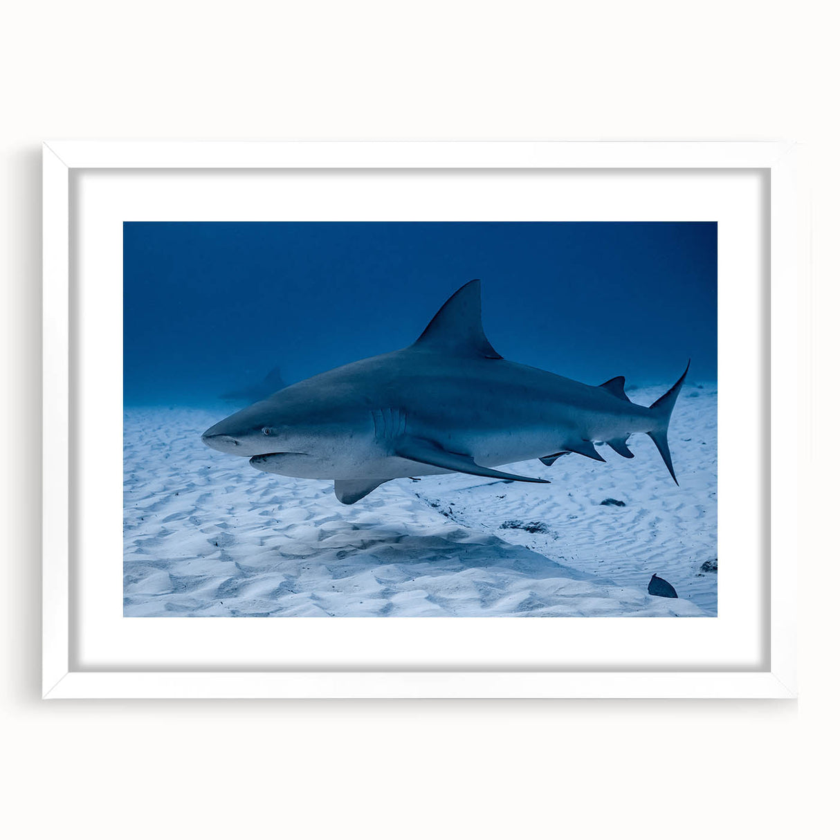 Abstract art print of Quintana Roo scenery in muted aqua and coral tones, framed in white, suitable for dining room decor.