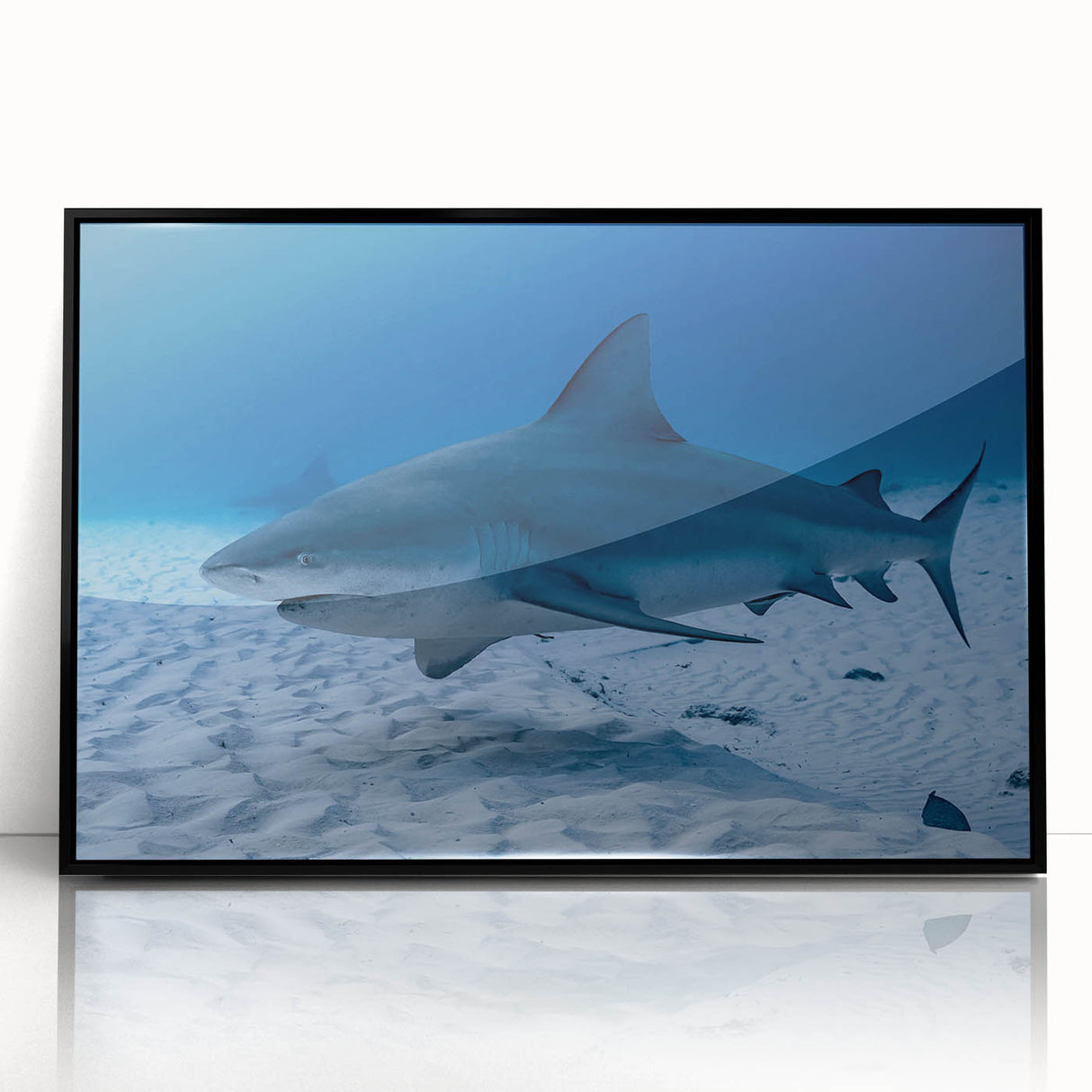 Large abstract wall art depicting a scenic view of Quintana Roo, Mexico.