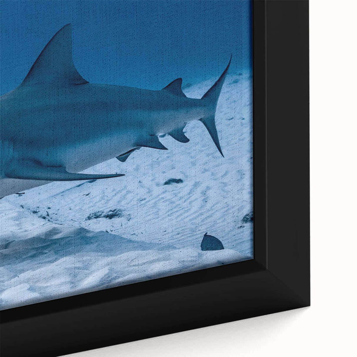 Extra large framed canvas featuring a textured depiction of Quintana Roo scenery in black with colorful accents.