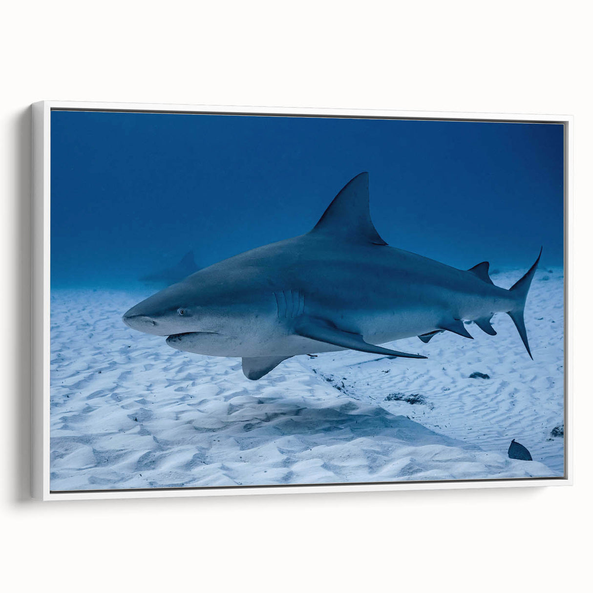 Vintage poster art of Quintana Roo scenery on framed canvas, featuring colorful imagery against a black background.