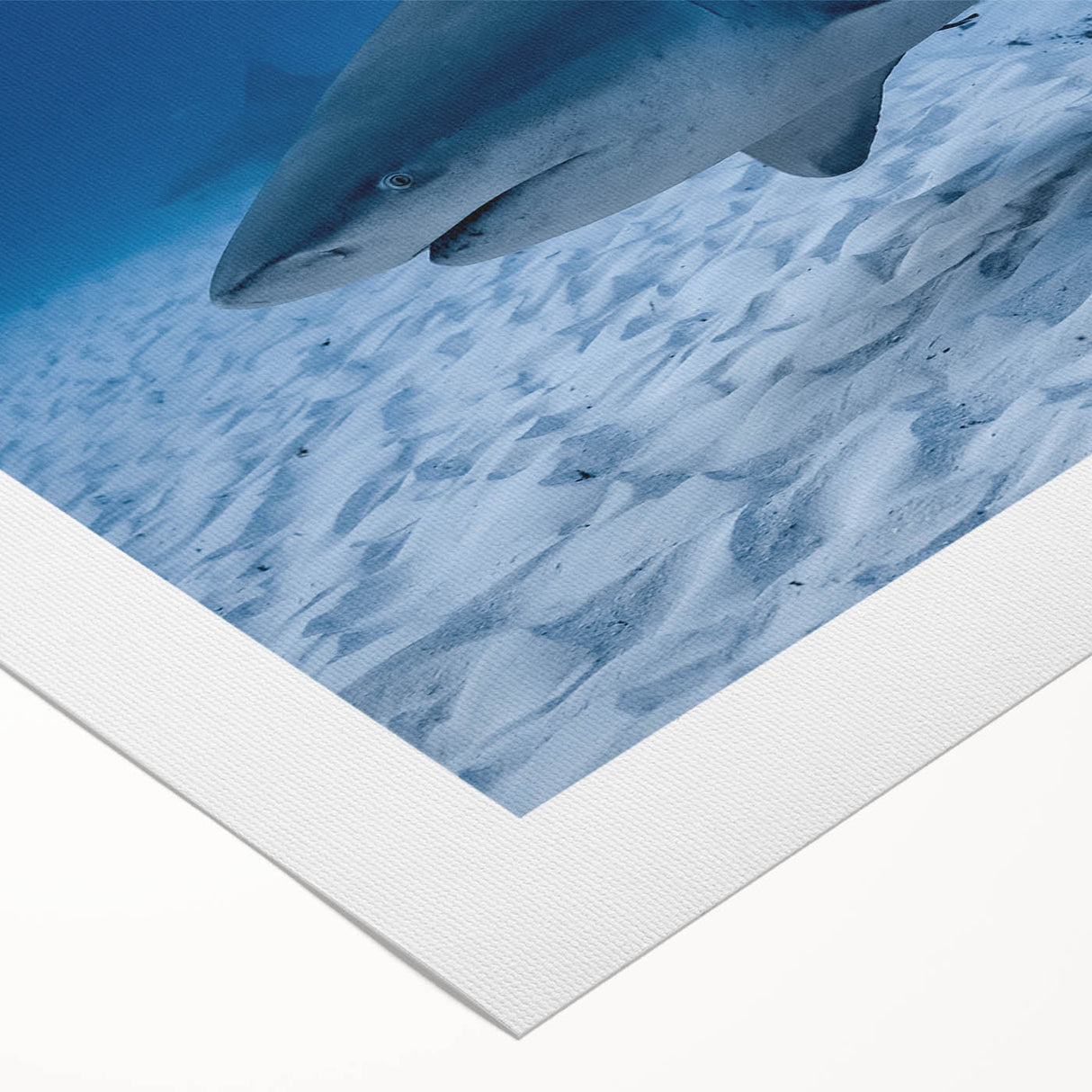 Art deco poster of Quintana Roo scenery in muted blue and green tones on rolled canvas, suitable for dining room wall art.