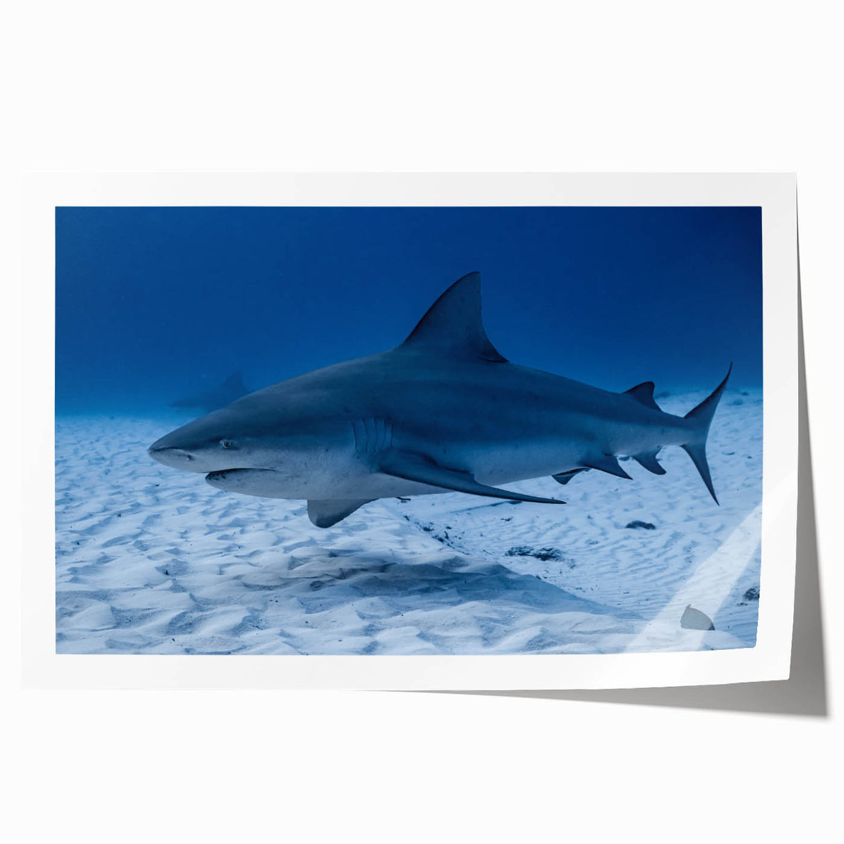 Extra large rolled print featuring a scenic view of Quintana Roo, Mexico with lush florals in vibrant colors.