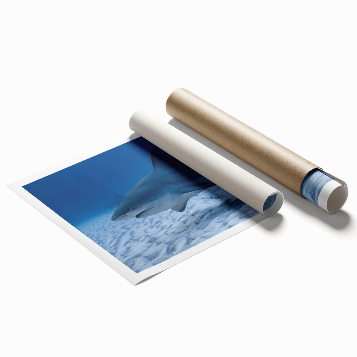 Extra large rolled print featuring Quintana Roo scenery with vibrant floral elements, ideal for classy bathroom wall art.