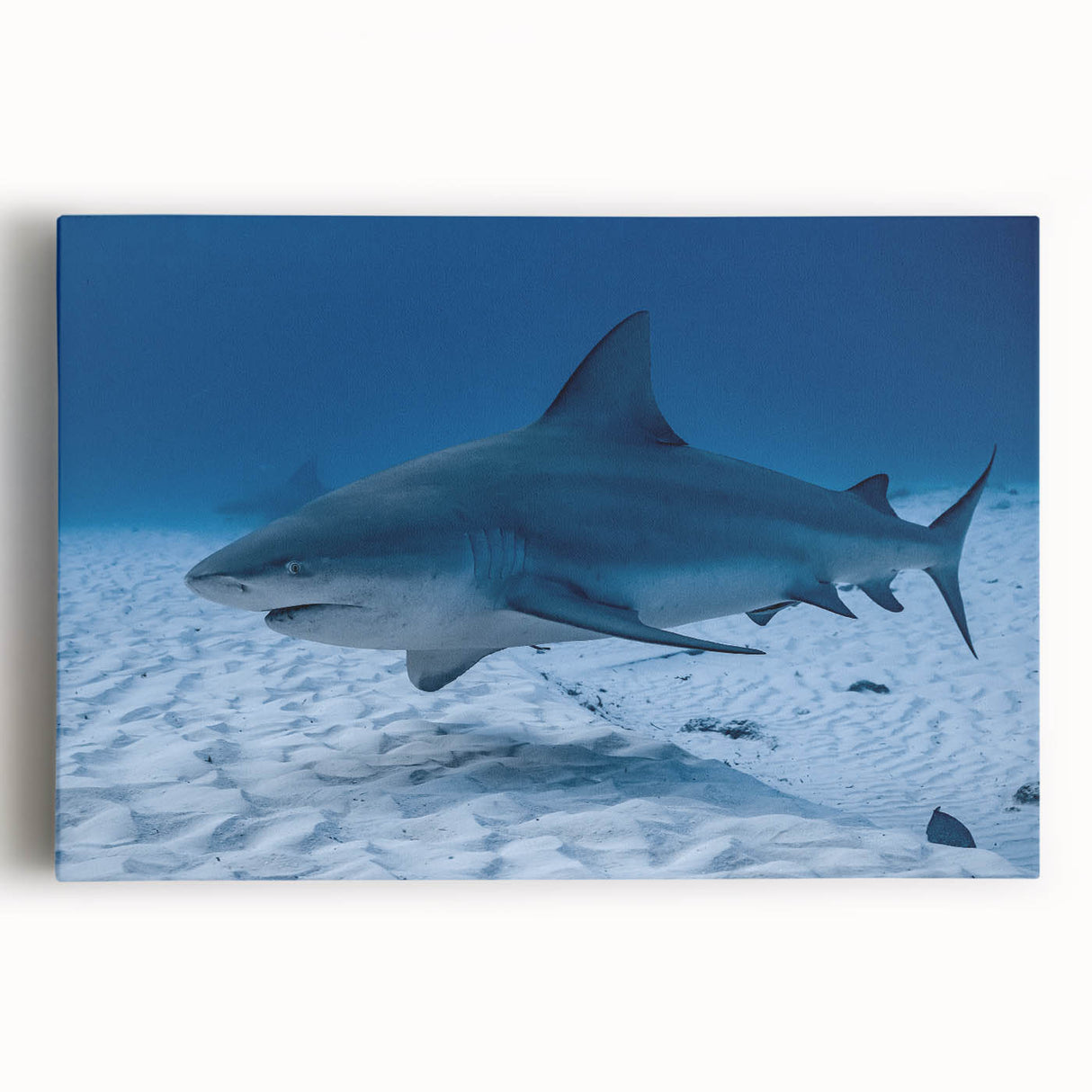 Black and white photograph of Quintana Roo scenery on large stretched canvas, ideal for kitchen wall art.