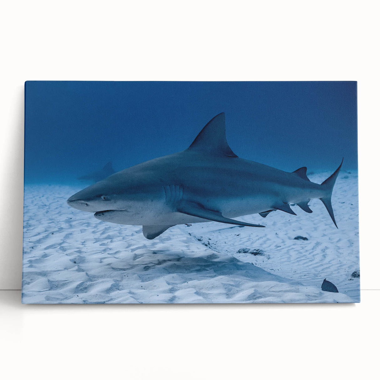 Black and white photo of Quintana Roo scenery on large stretched canvas, suitable as kitchen wall art or for bedroom.