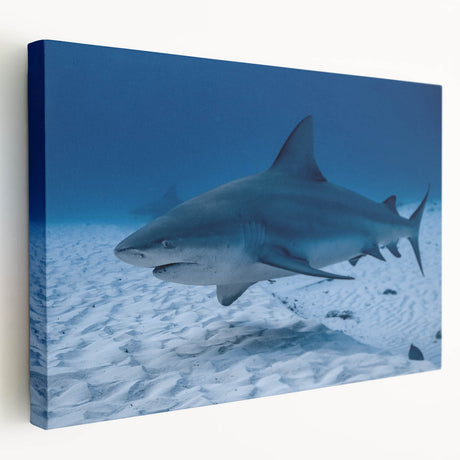 Scenic Quintana Roo landscape on stretched canvas, featuring vivid green and blue tones, ideal for kitchen wall art.