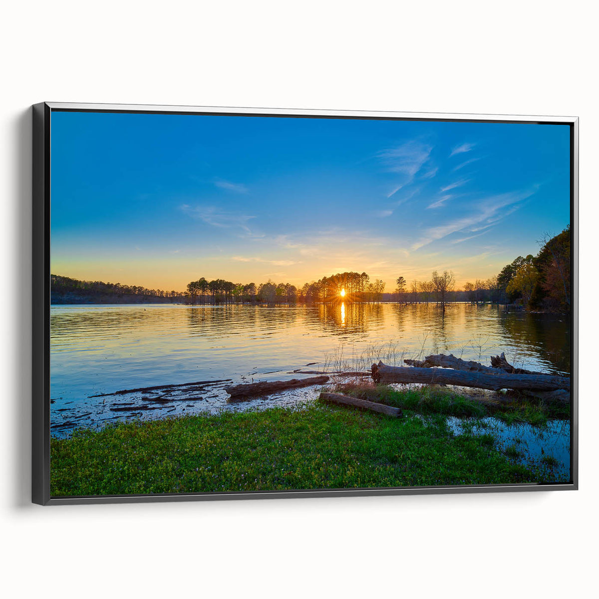 Black and white framed canvas of Arkansas landscape, exhibiting vintage poster art, suitable for bedroom decor.