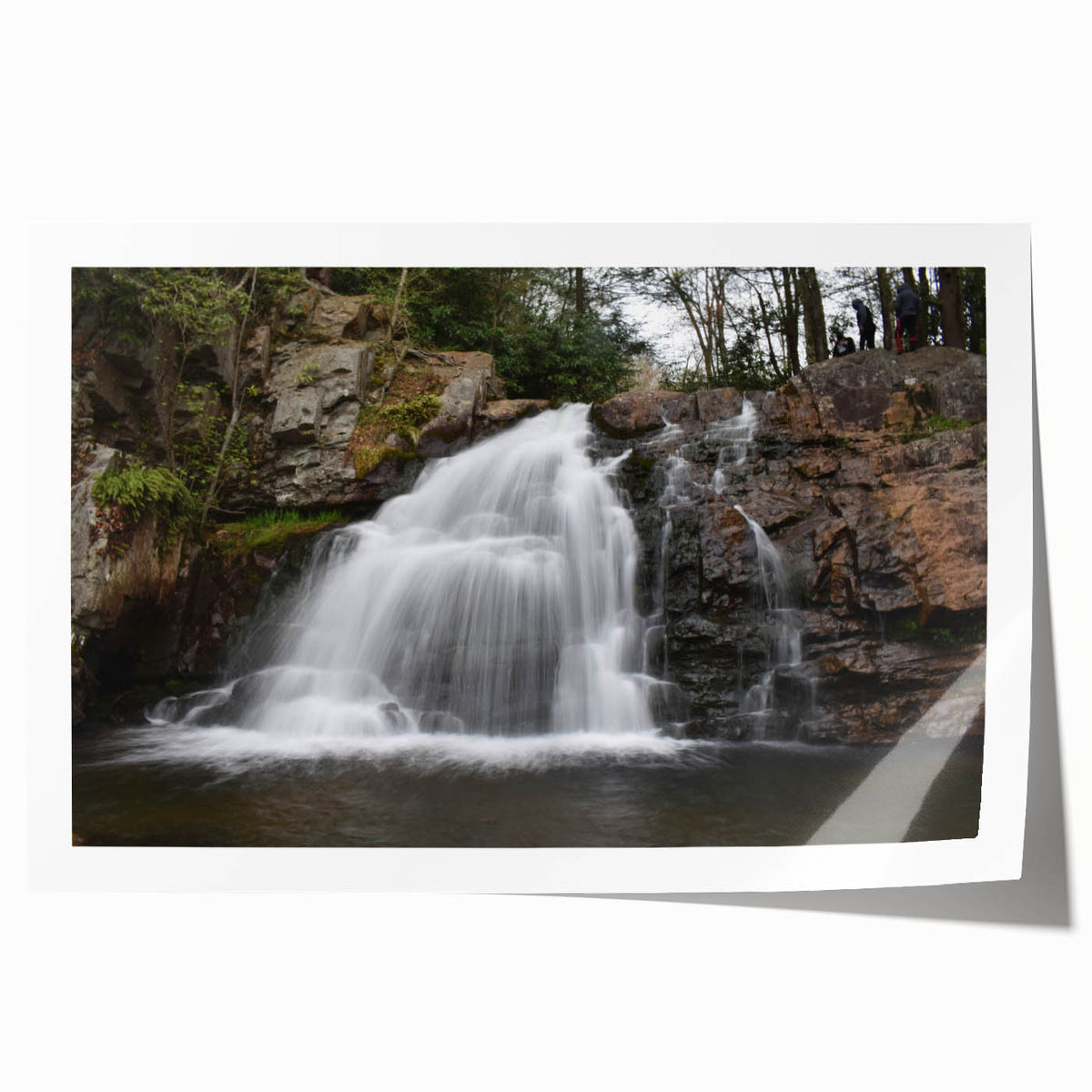 Extra large rolled print of Pennsylvania scenery with vibrant floral elements, ideal for art wall dining room.