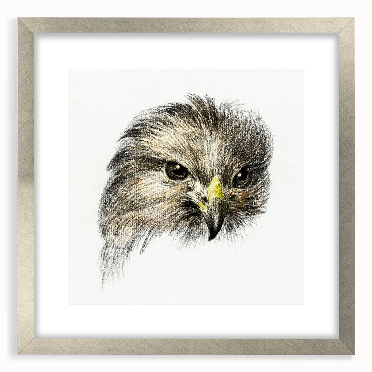 Head of a Bird of Prey by Jean Bernard - Romantic Wildlife Art Print
